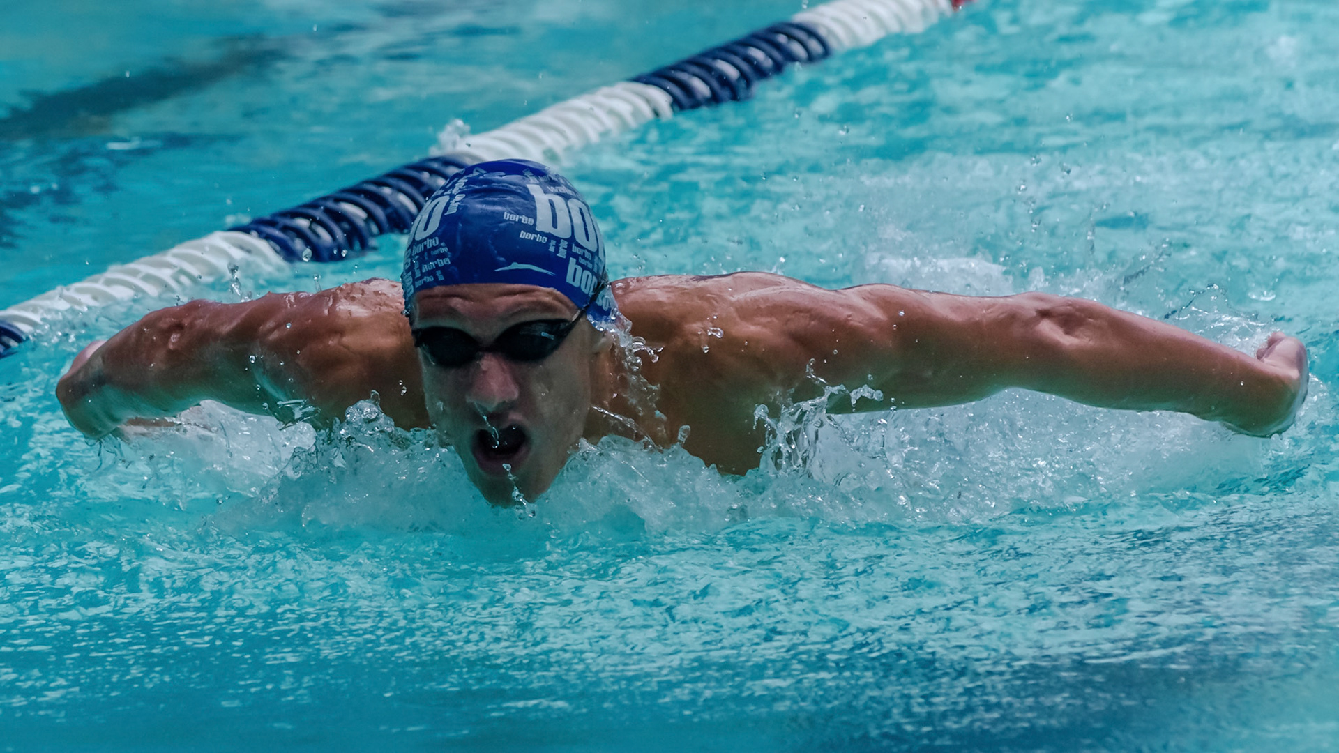 Brasileiro de Natação - 2014