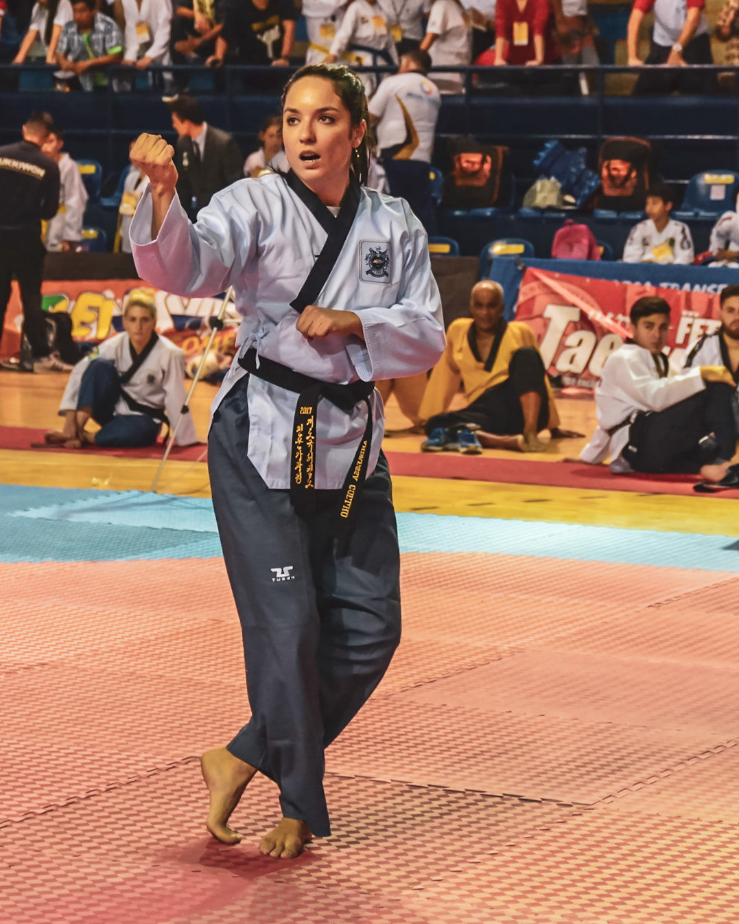 Campeonato Paulista de Karate - 2017
