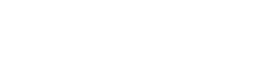 Nils Berger