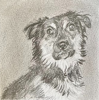 Ryder 4"x4" Charcoal