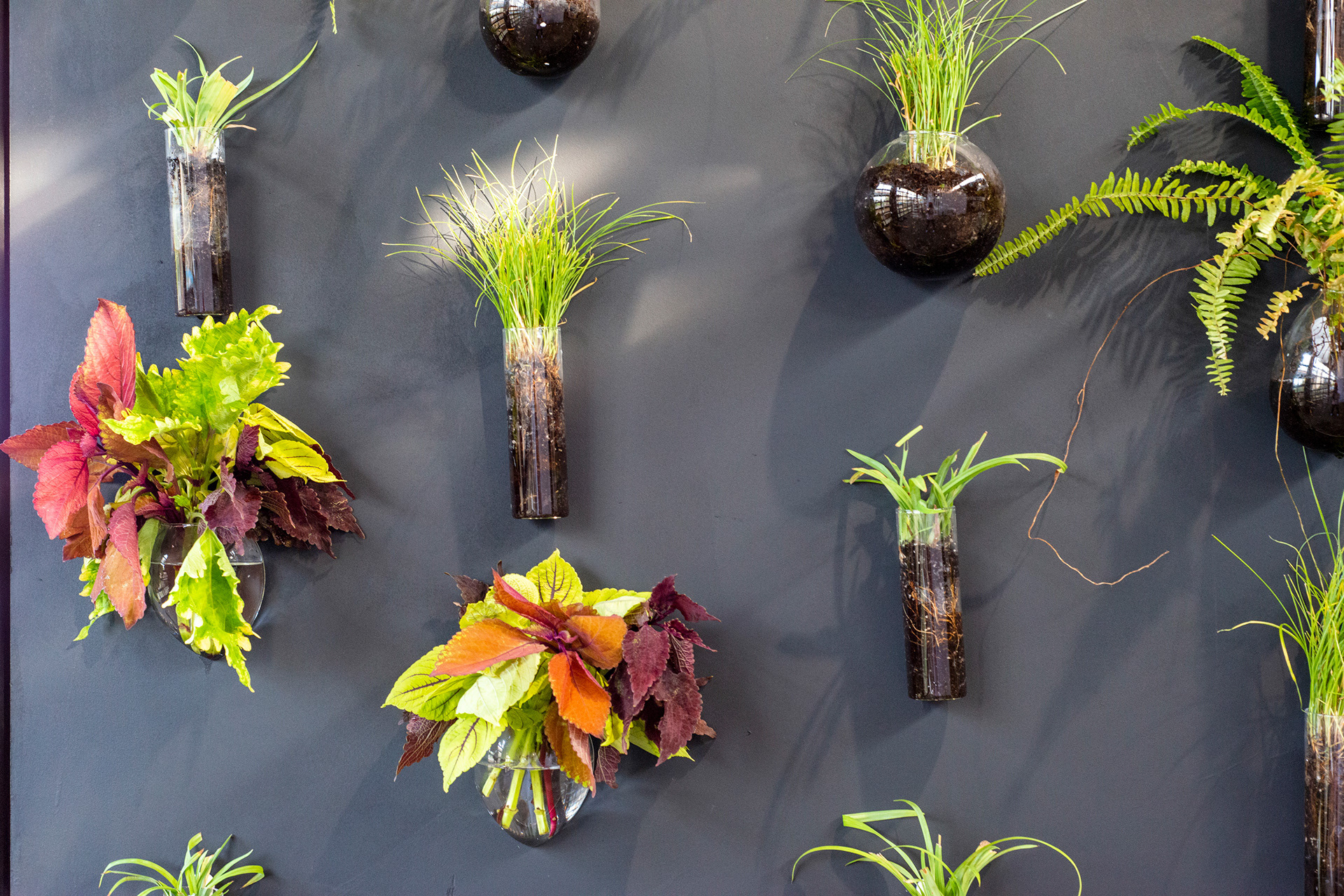 Living Wall Detail