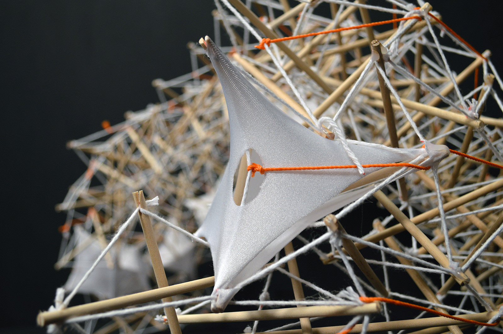 Structural Model