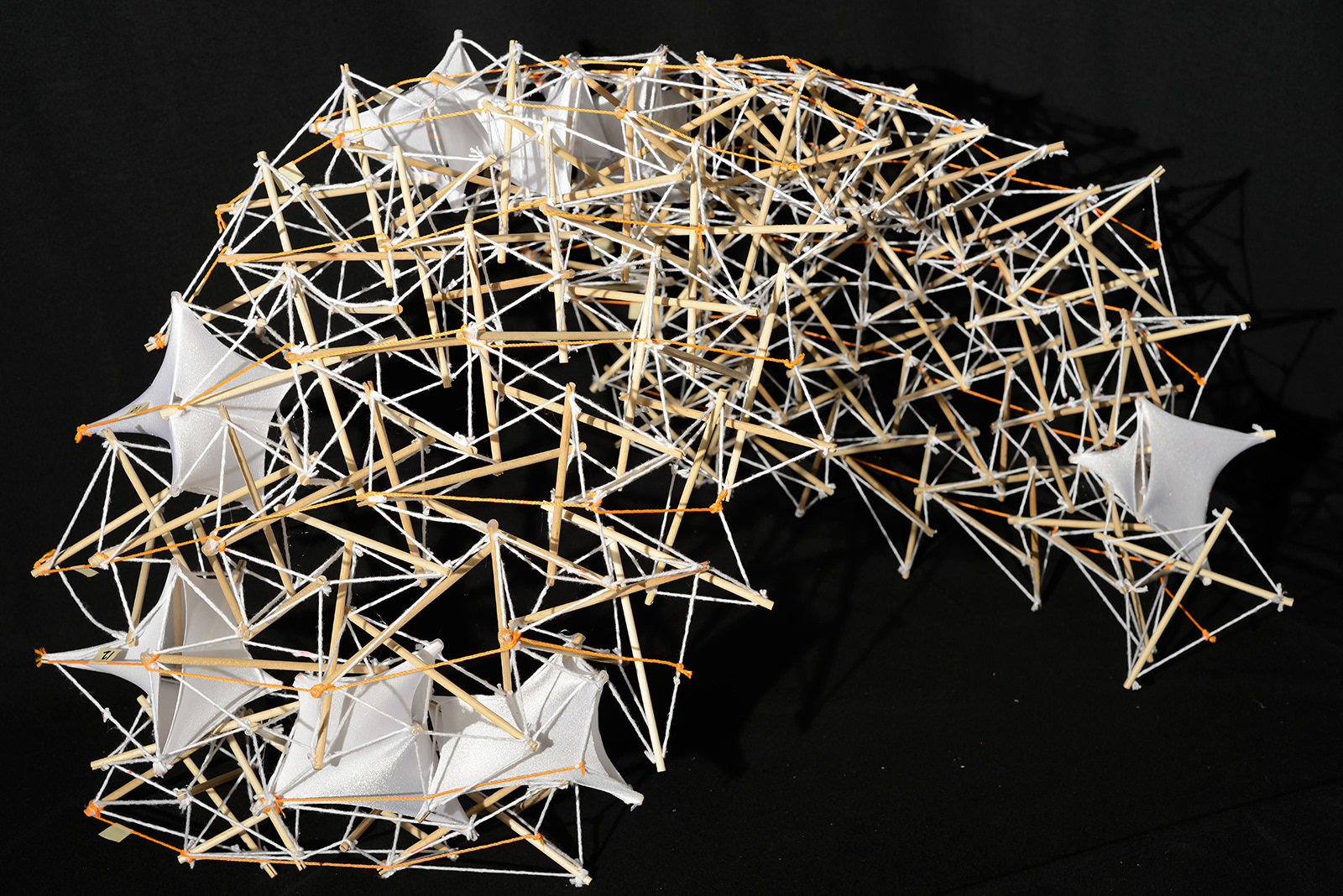 Structural Model