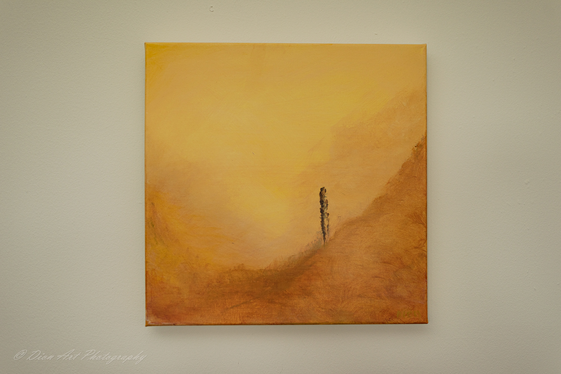 Dune 2