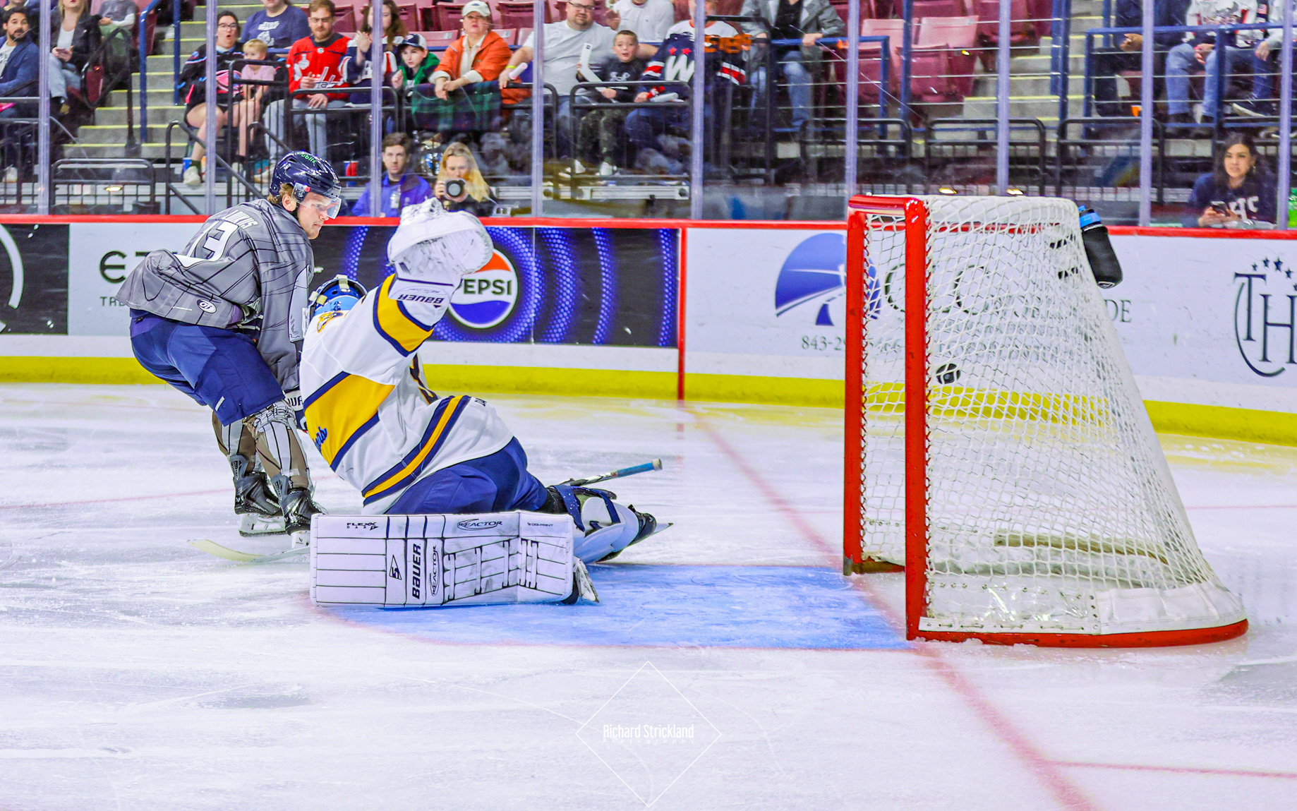 2026, Digital Photograph