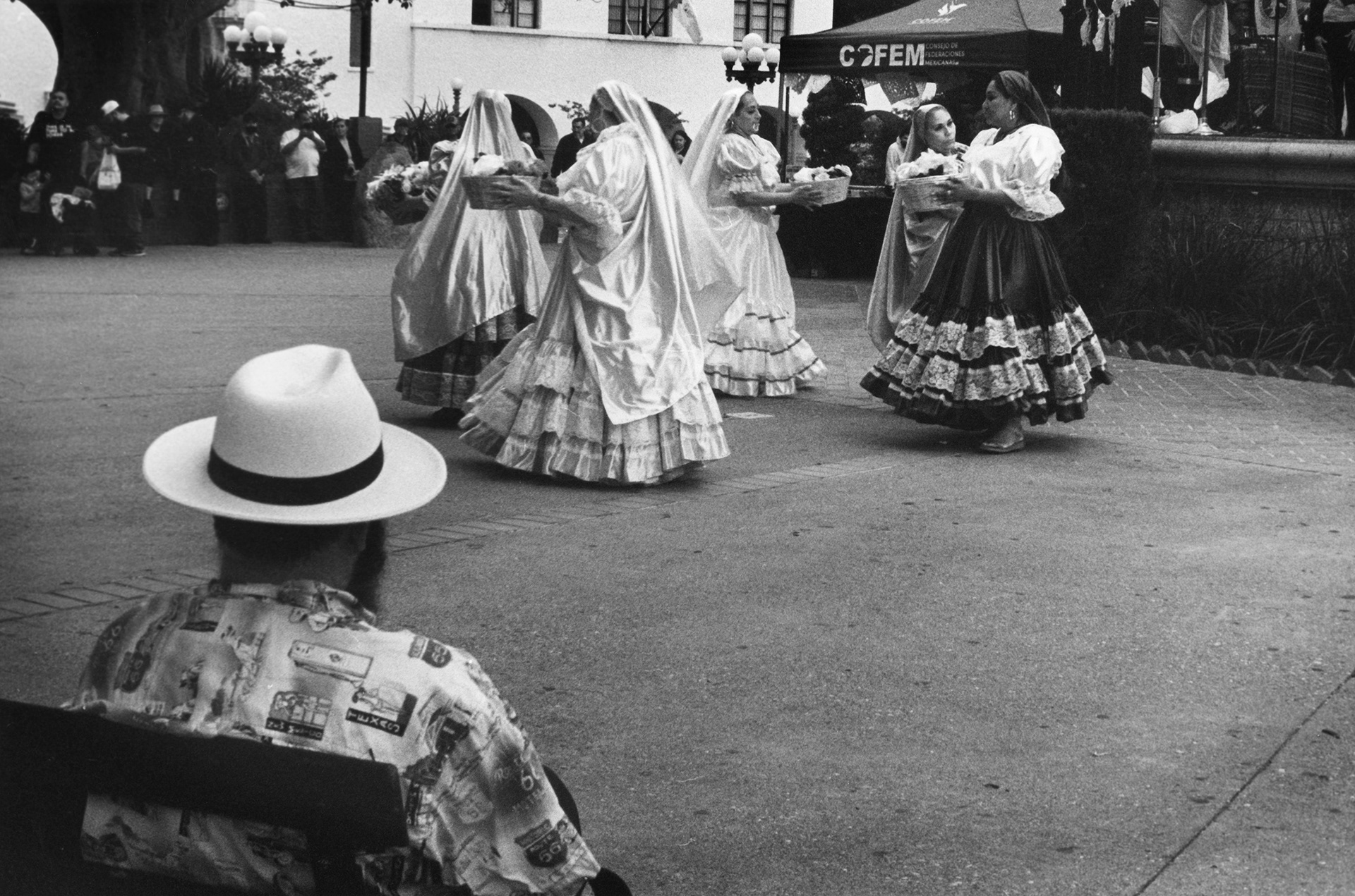 Cinco De Mayo 