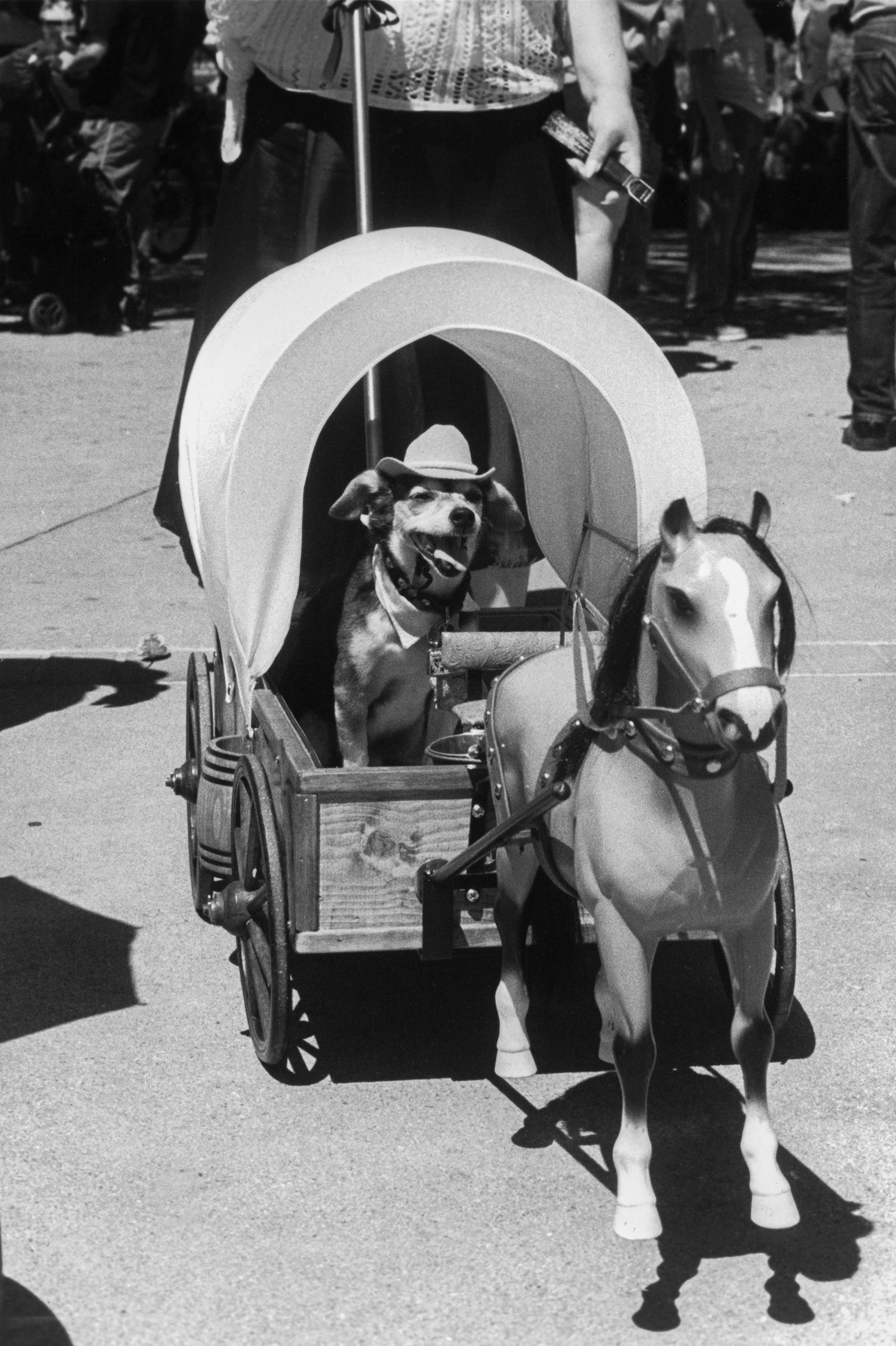 Perrito Wagon 