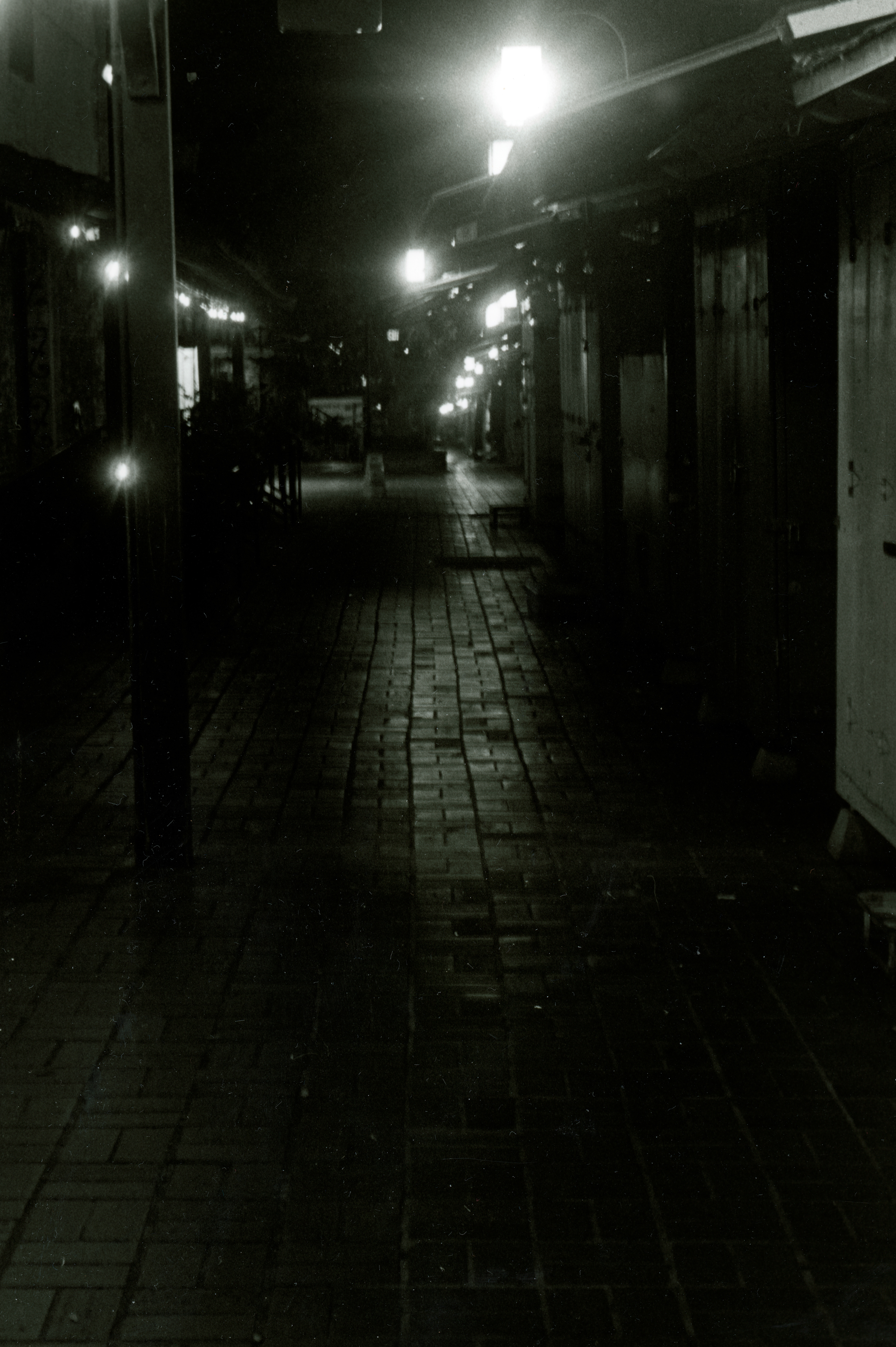 Mercado at Night