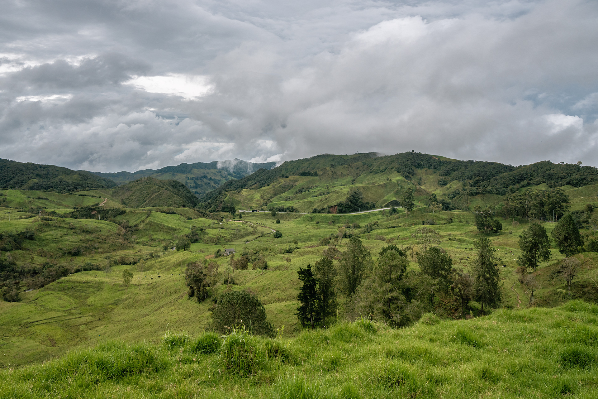 Yarumal
