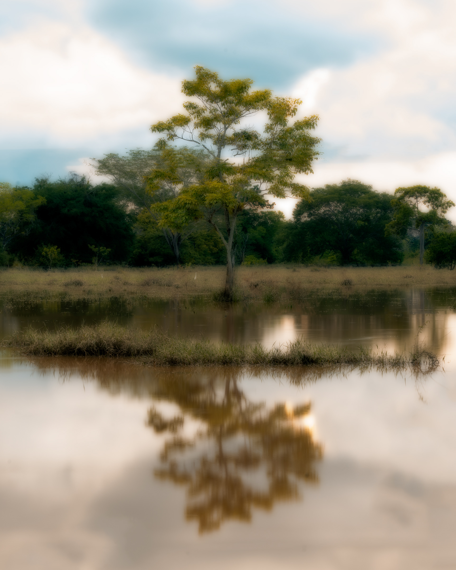 Rio San Jorge