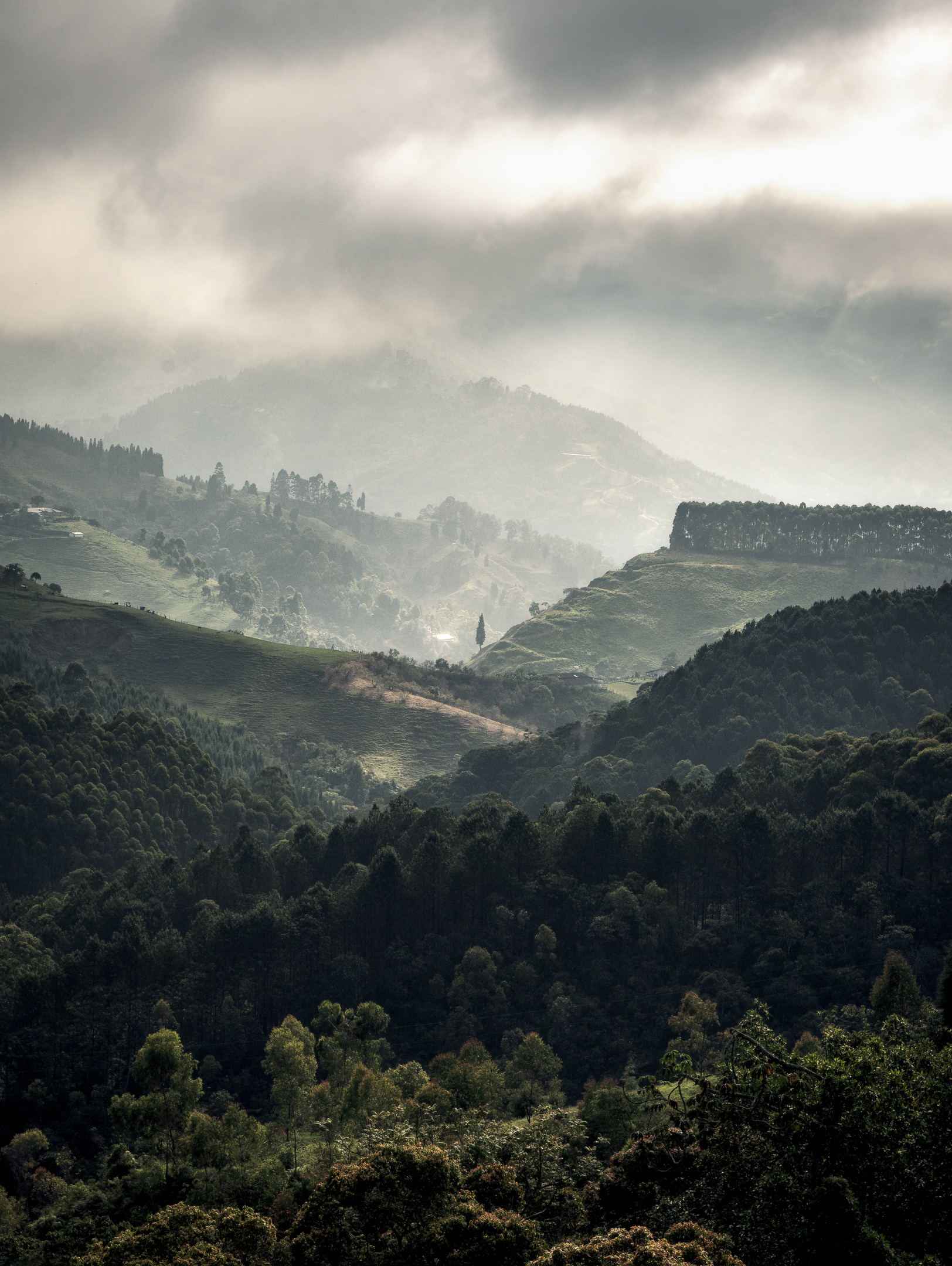 La Soledad, Caldas
