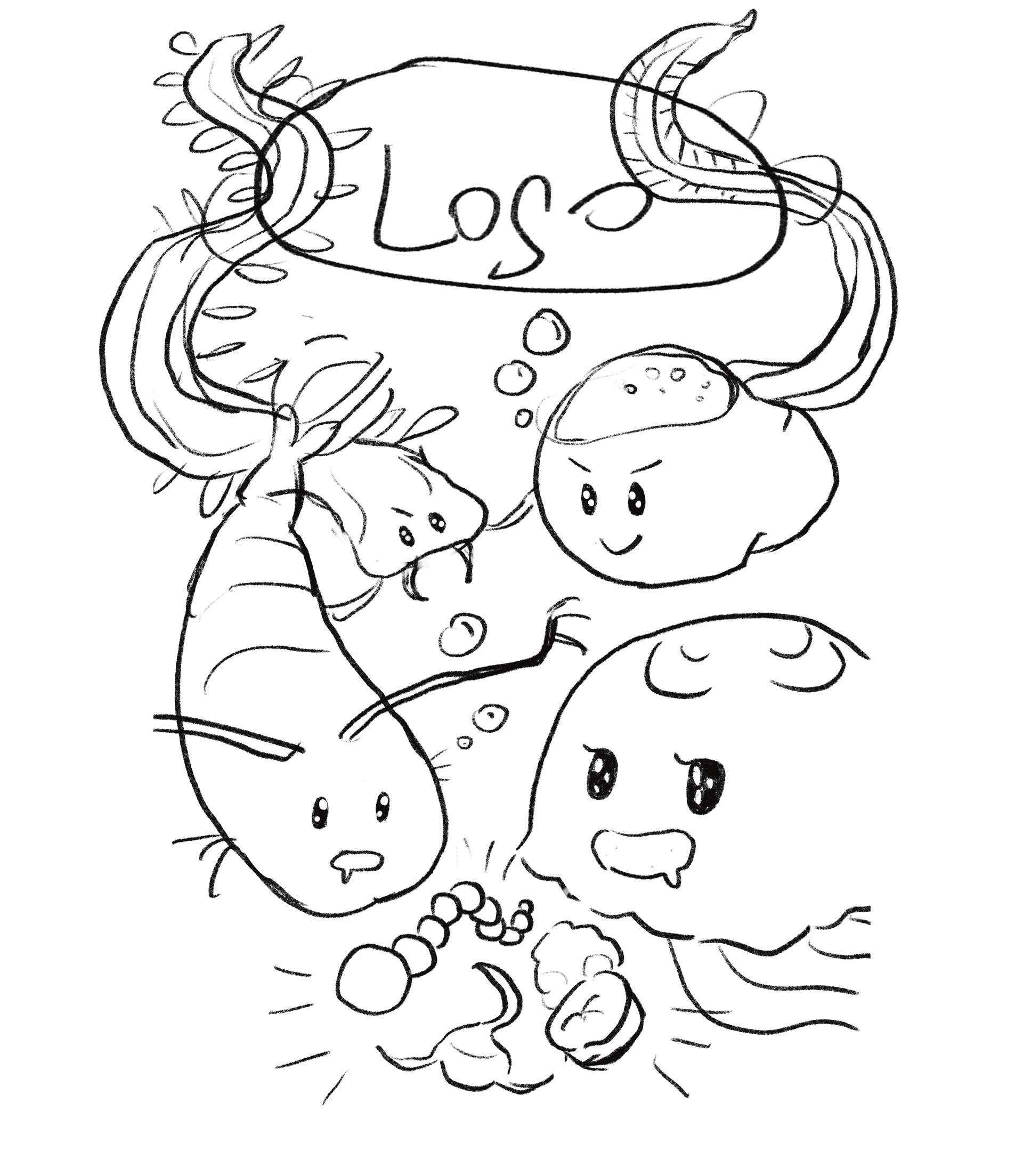 Sketch of the box