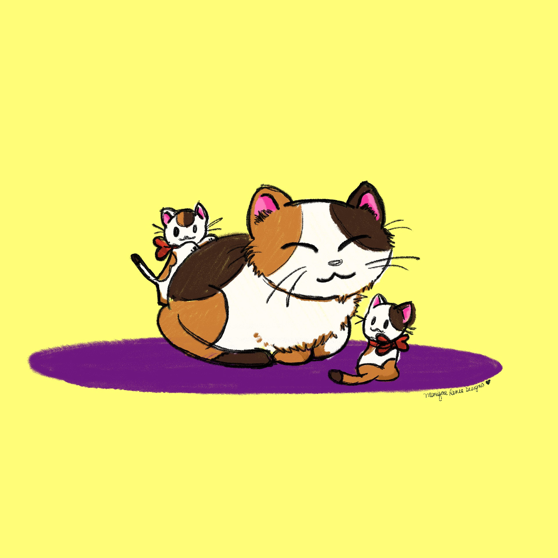 Cat on Rug