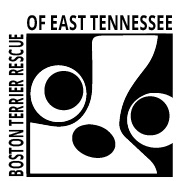 Vector Logo