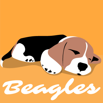 Beagle Pup Sleeping