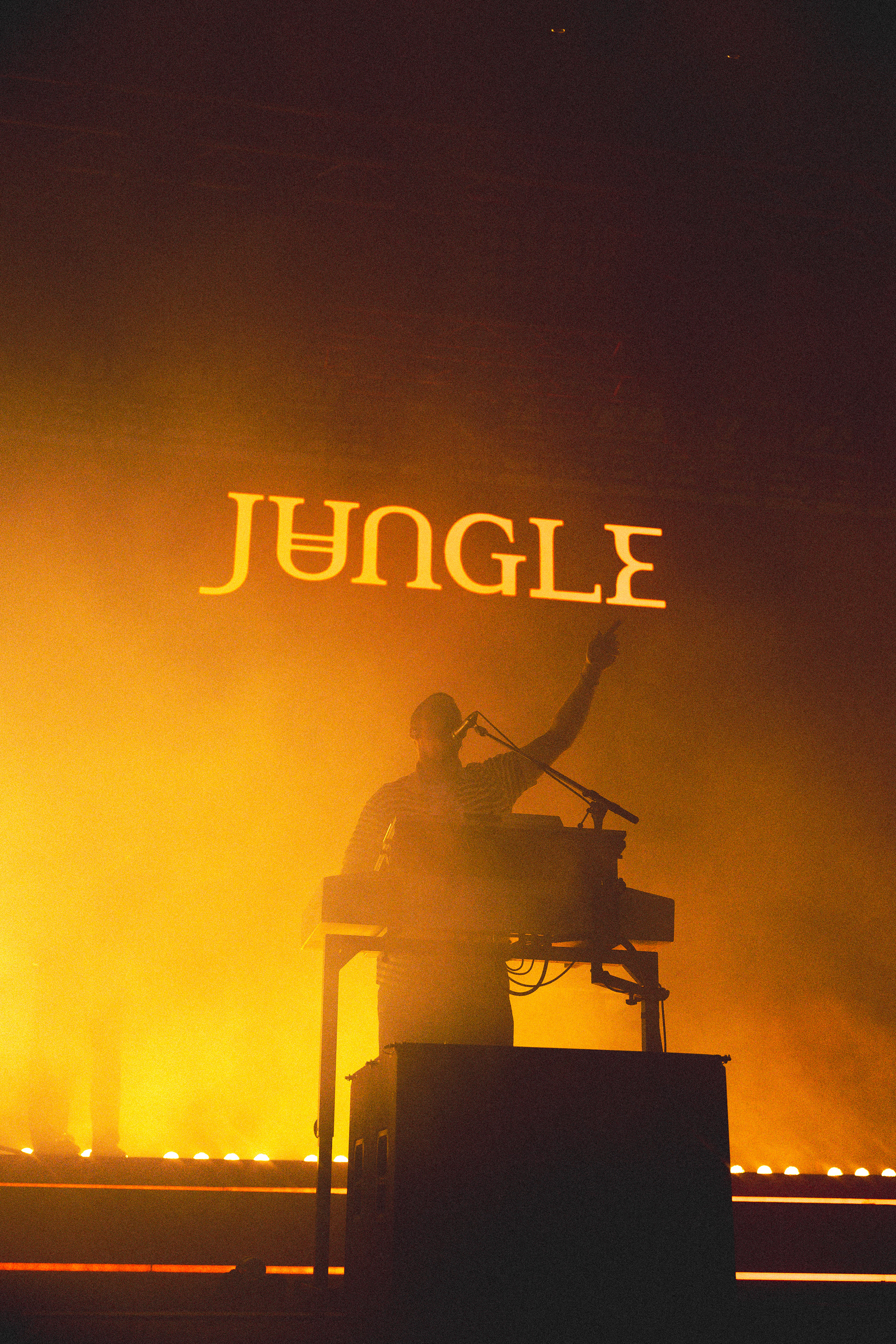 Jungle - Phillips Backyard 2024