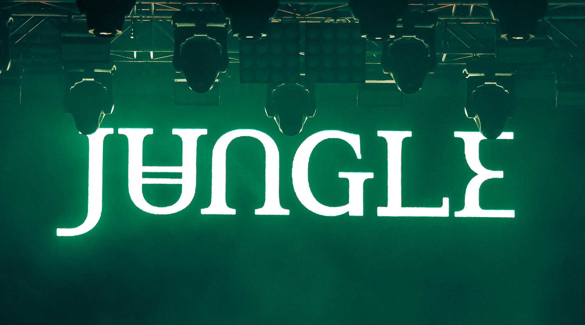 Jungle - Phillips Backyard 2024