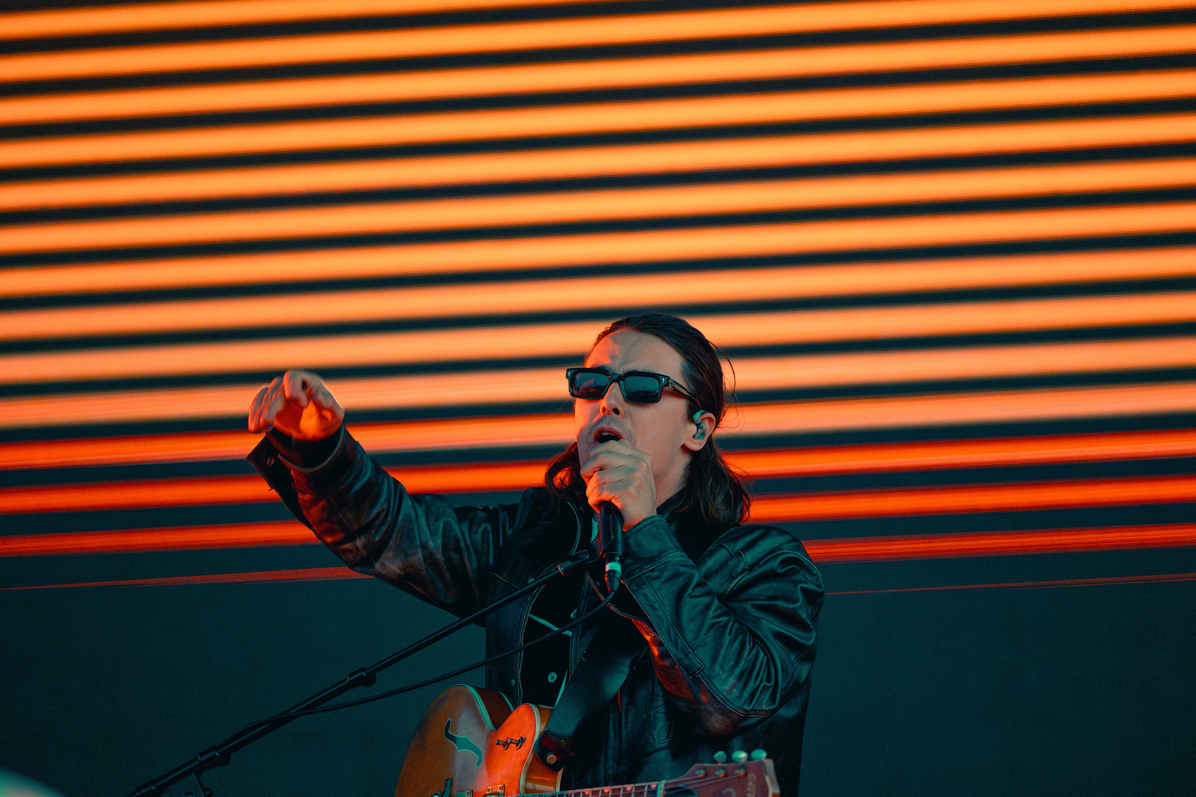 Jungle - Phillips Backyard 2024