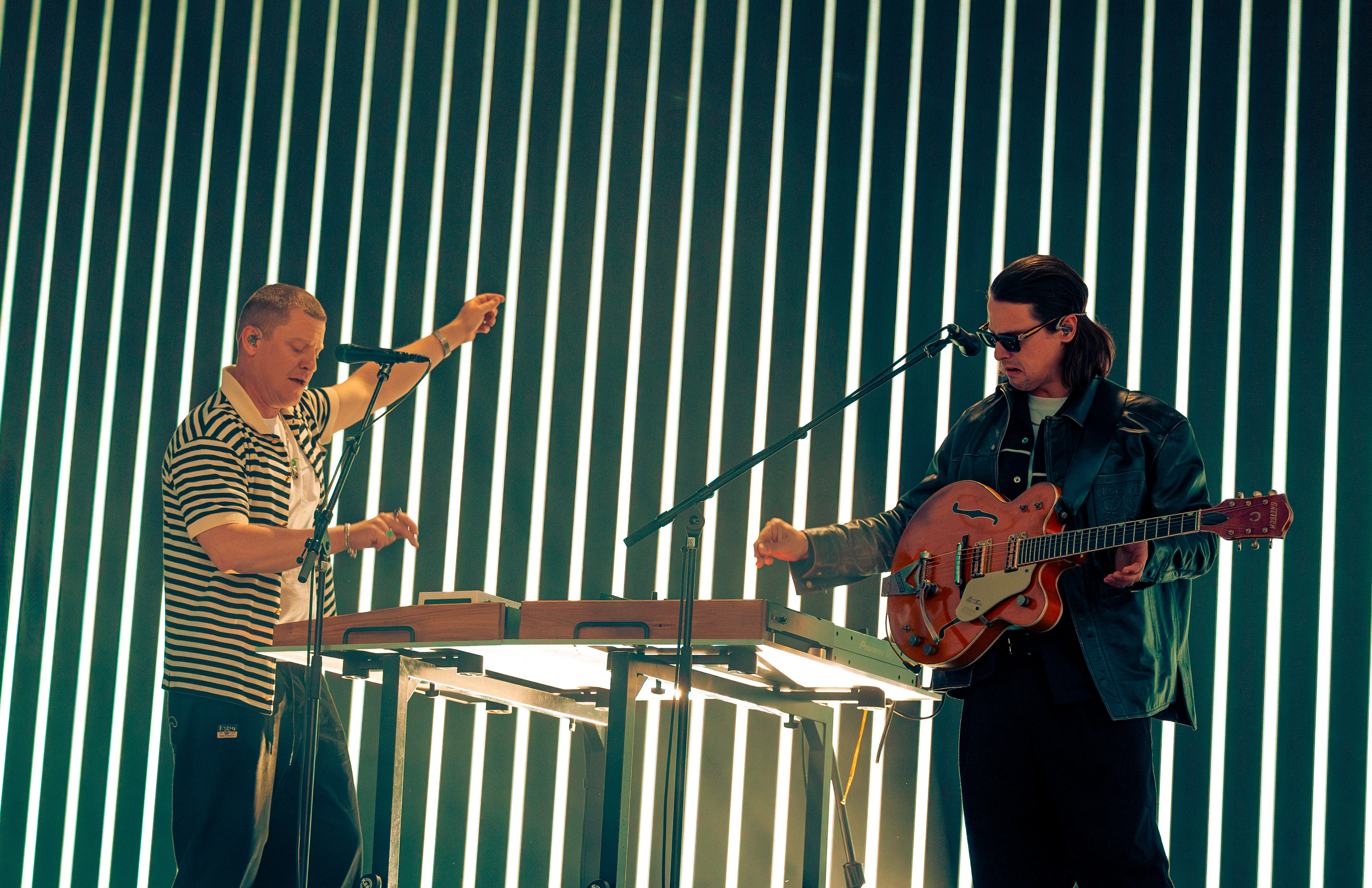 Jungle - Phillips Backyard 2024