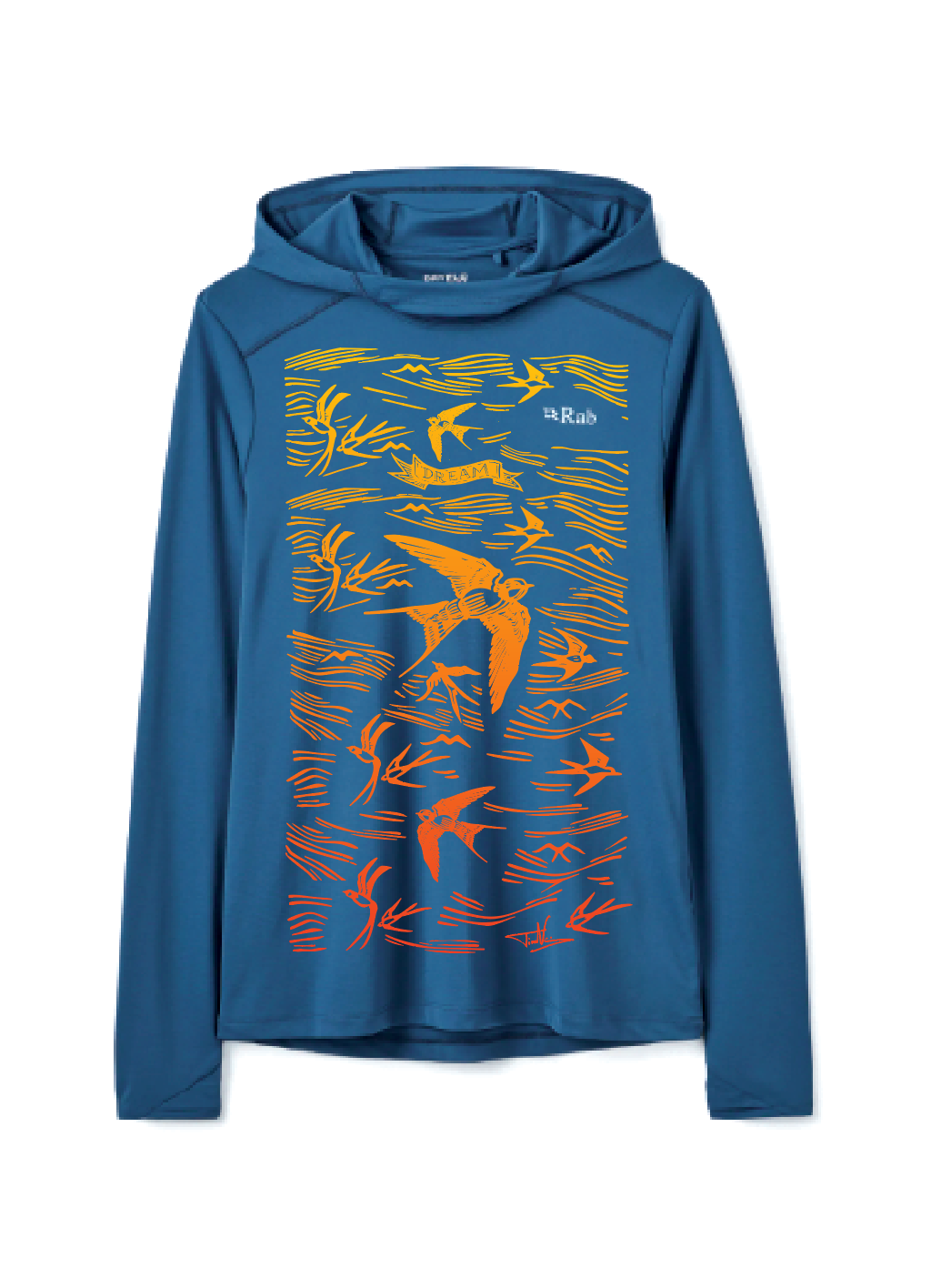Colour: Tempest Blue: Design Swallows
