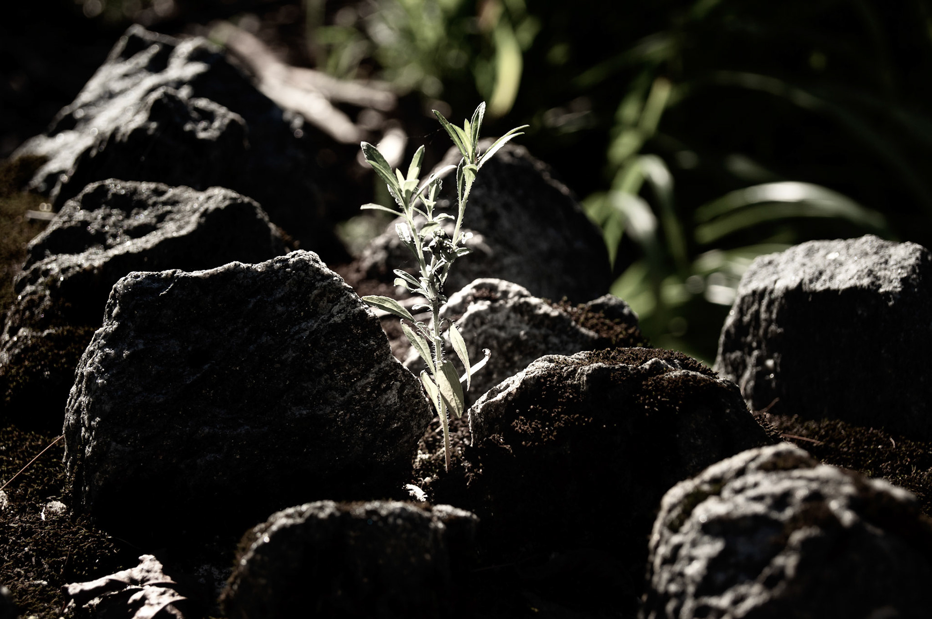 Lower Merion, PA - July 2019