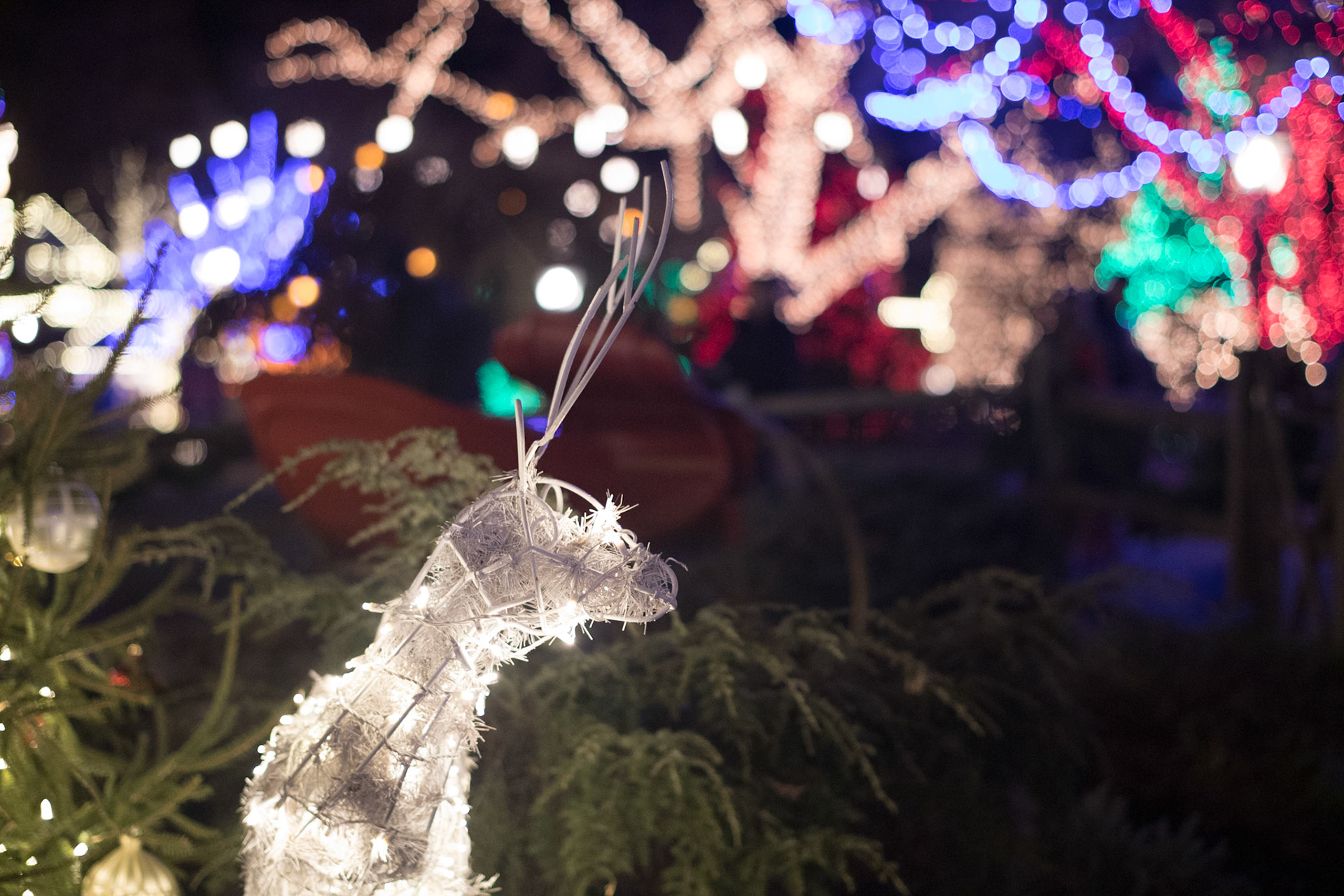 Lahaska, PA - November 2022