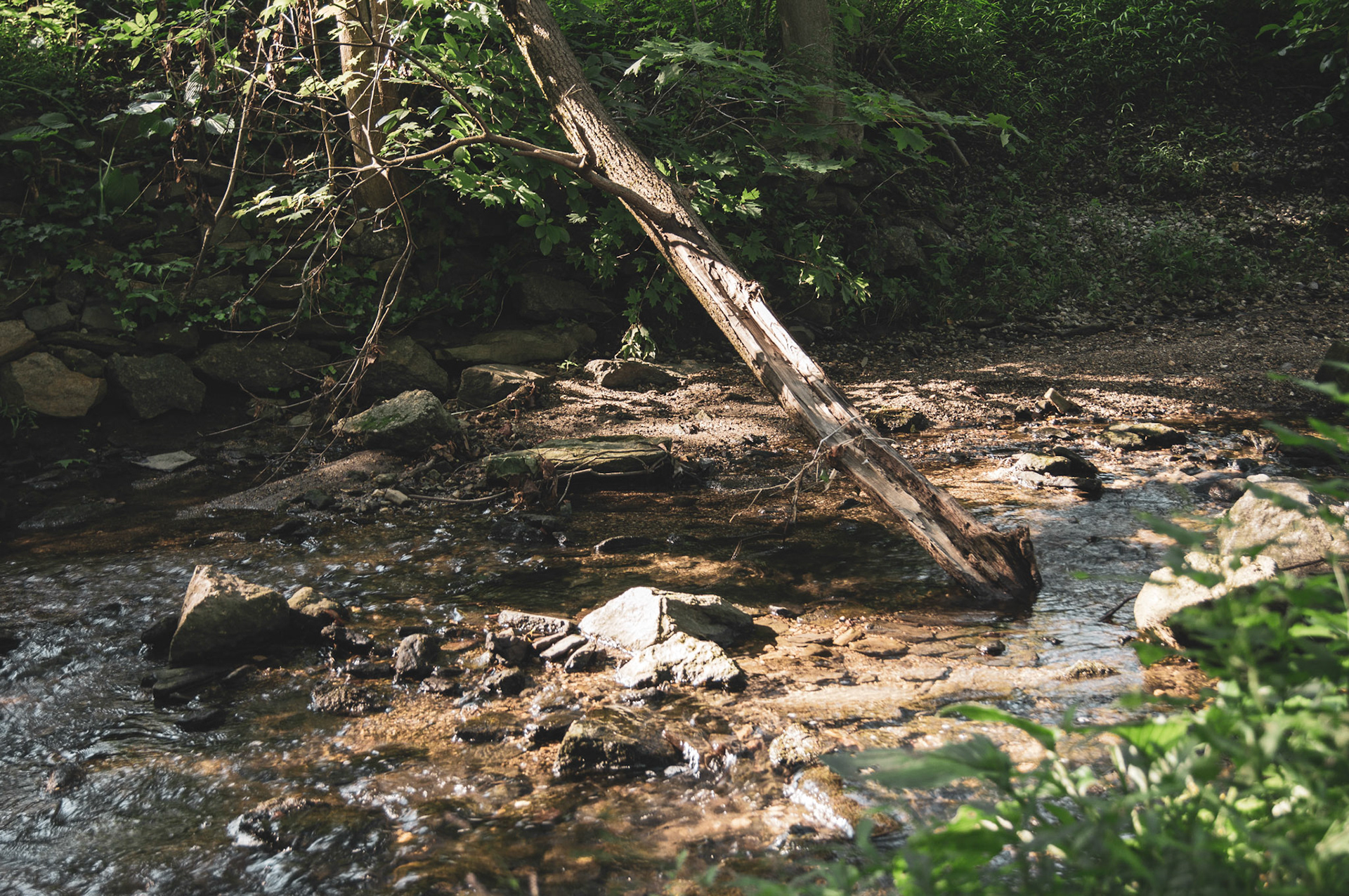 Lower Merion, PA - July 2019