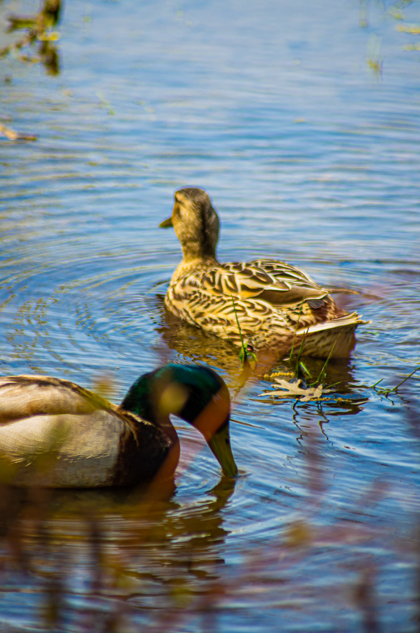 Philadelphia, PA - August 2019
