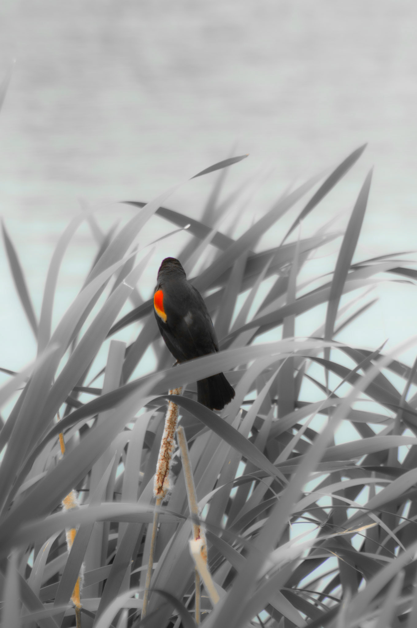 Philadelphia, PA - August 2019