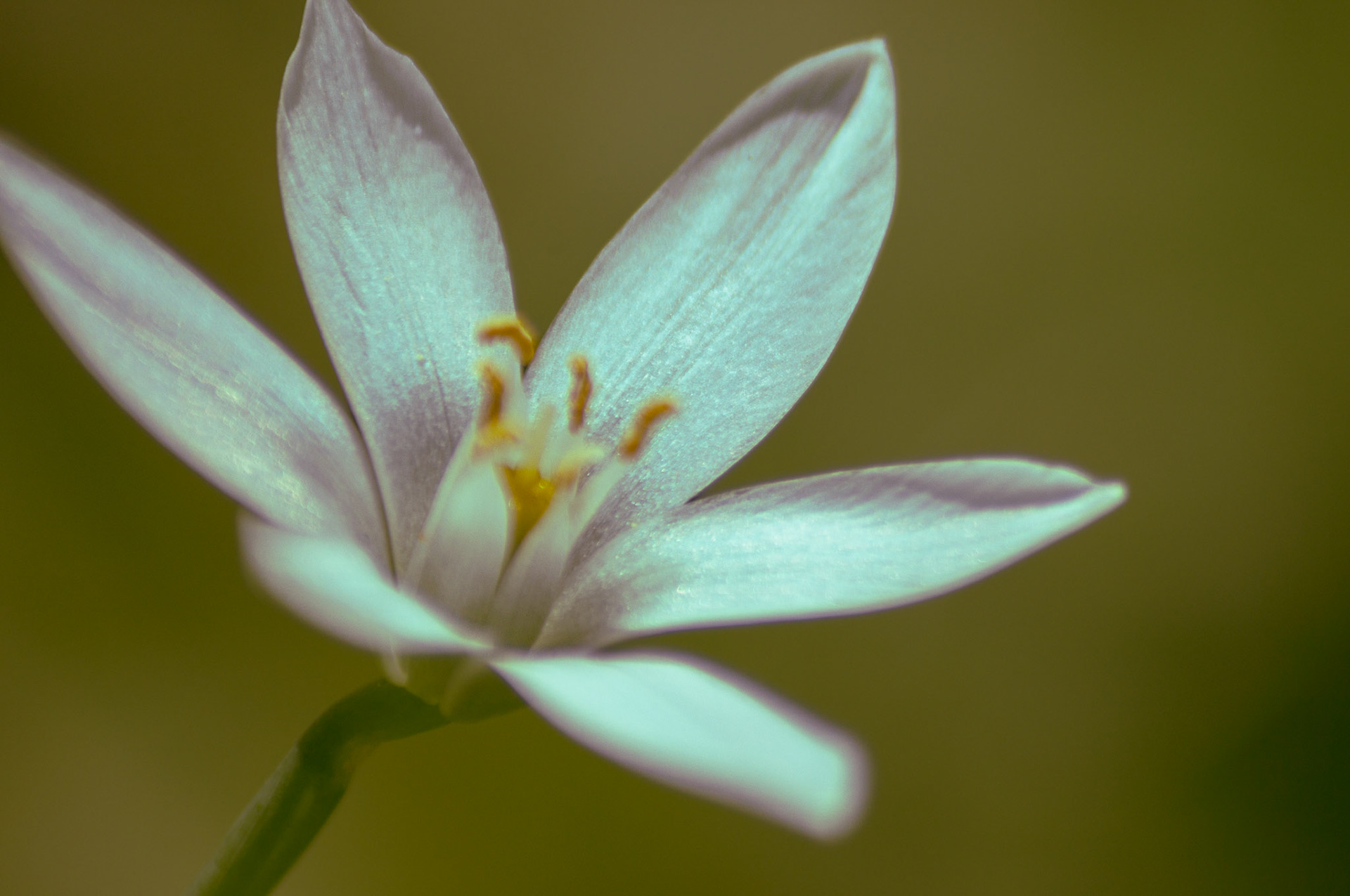 Lower Merion, PA - July 2019
