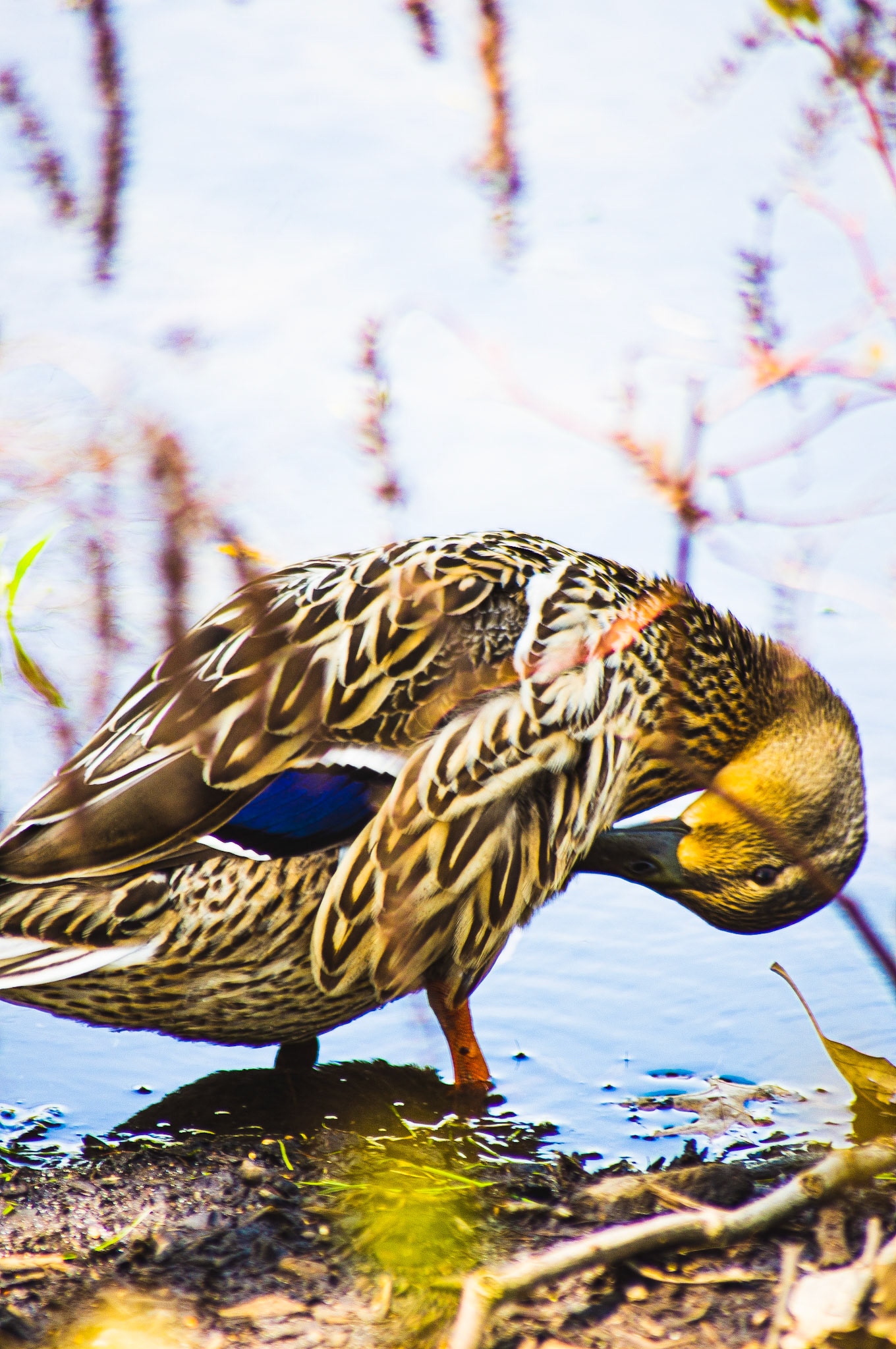 Philadelphia, PA - August 2019