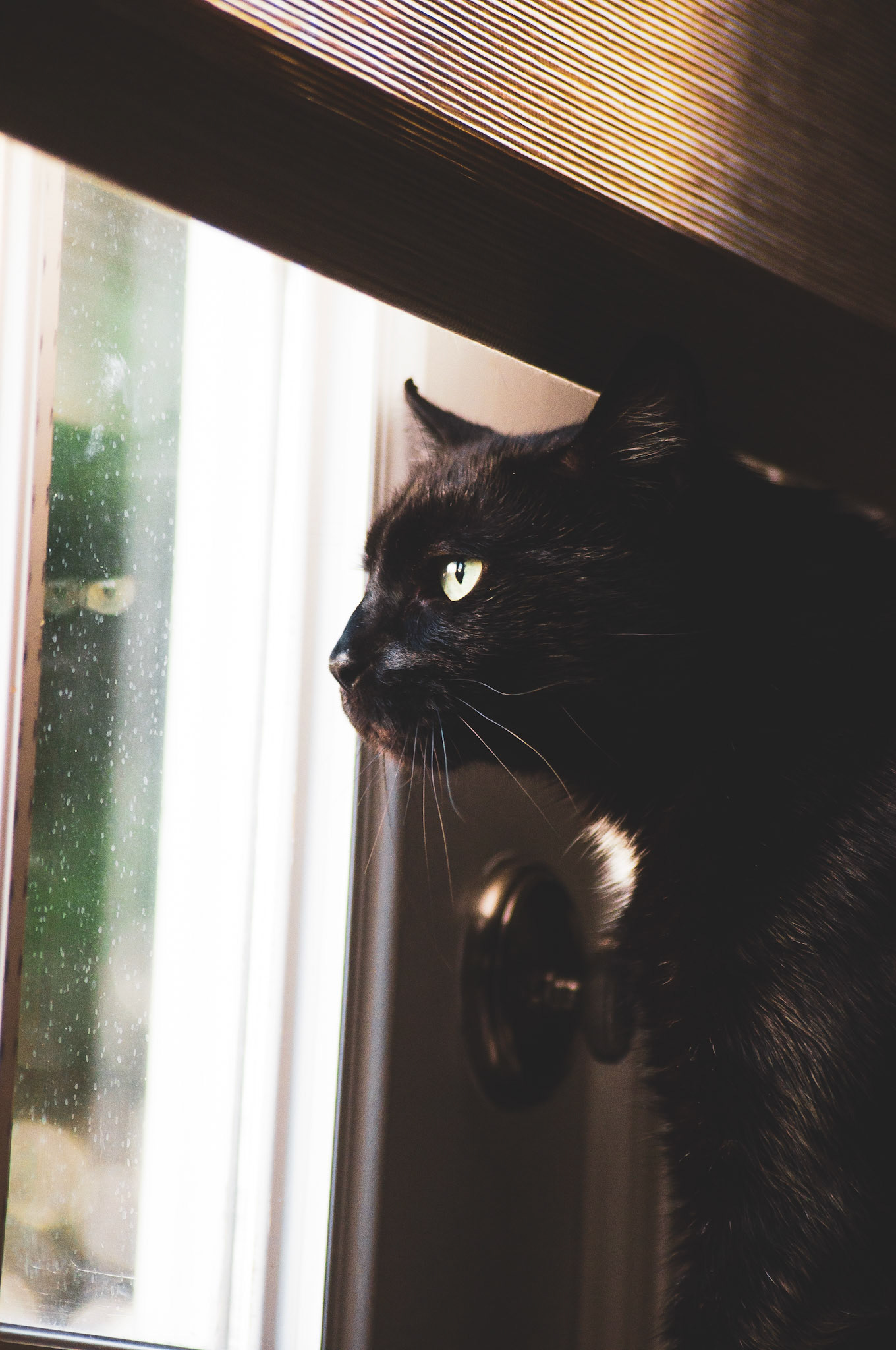 Vienna, VA - November 2019