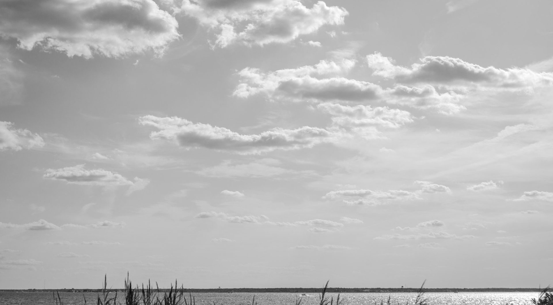 Long Valley, NJ - July 2019