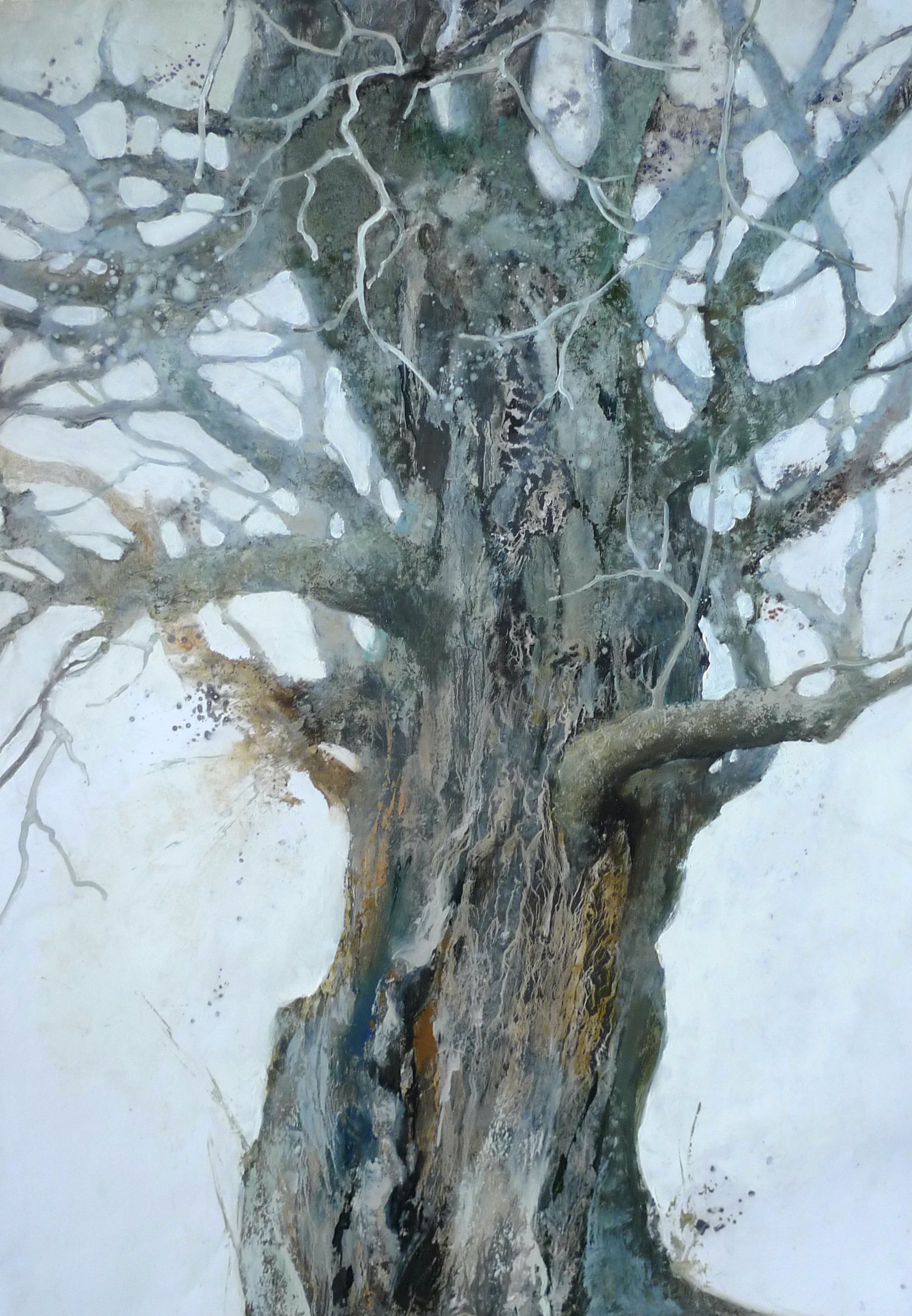 Tree 70x50 oil yupo