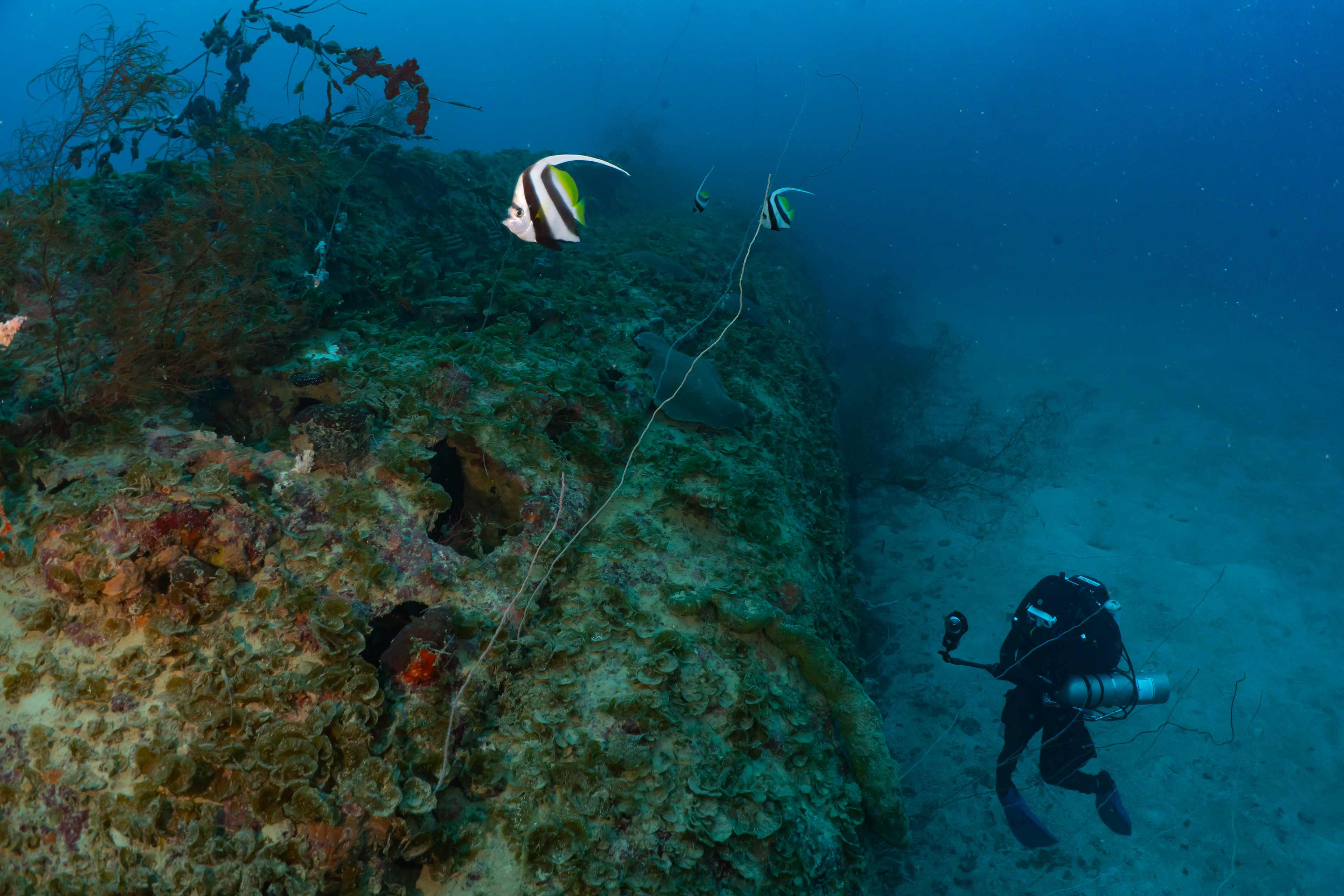 Upper aft deck is generally gone. 