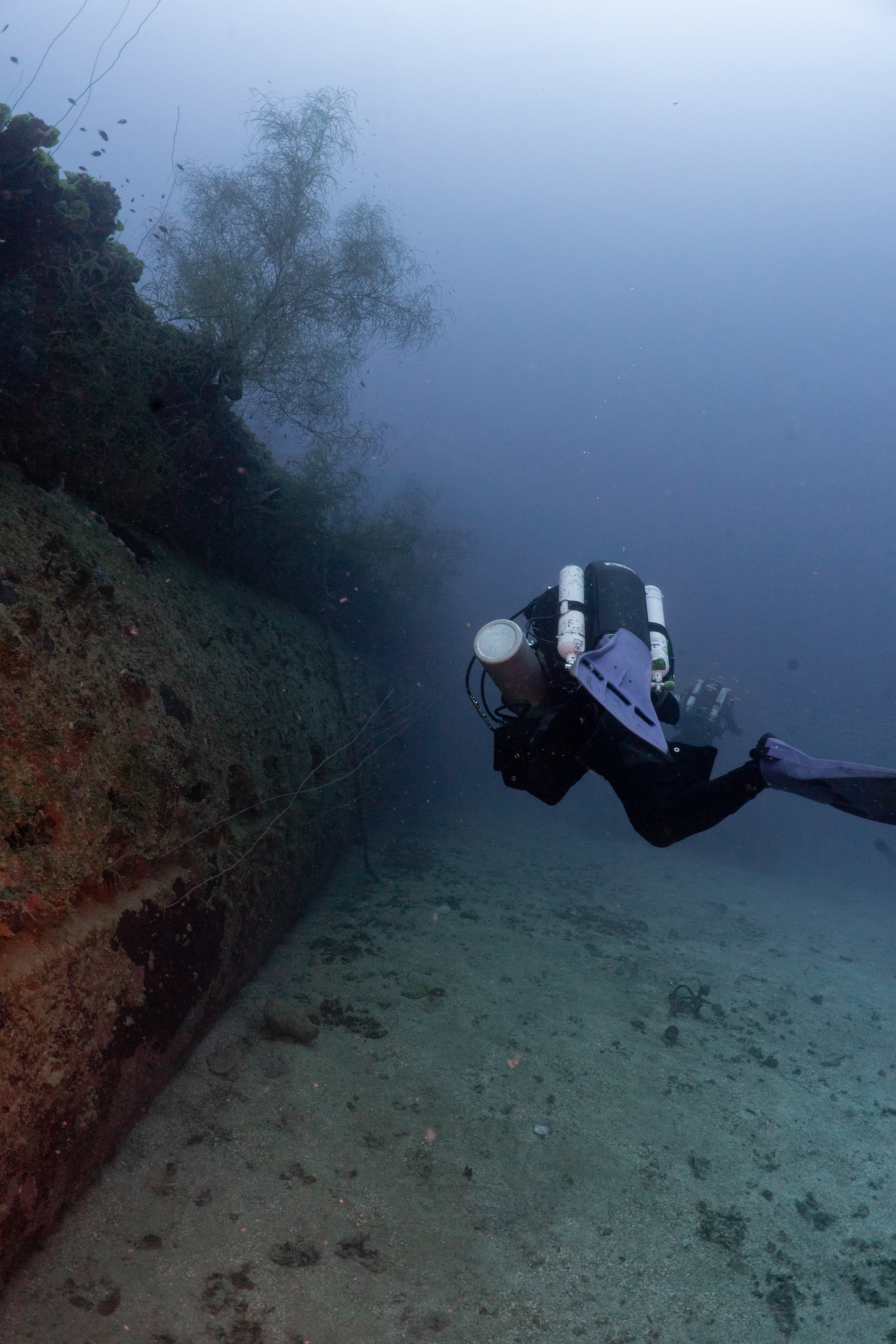 Mous along the aft port looking towards stern.