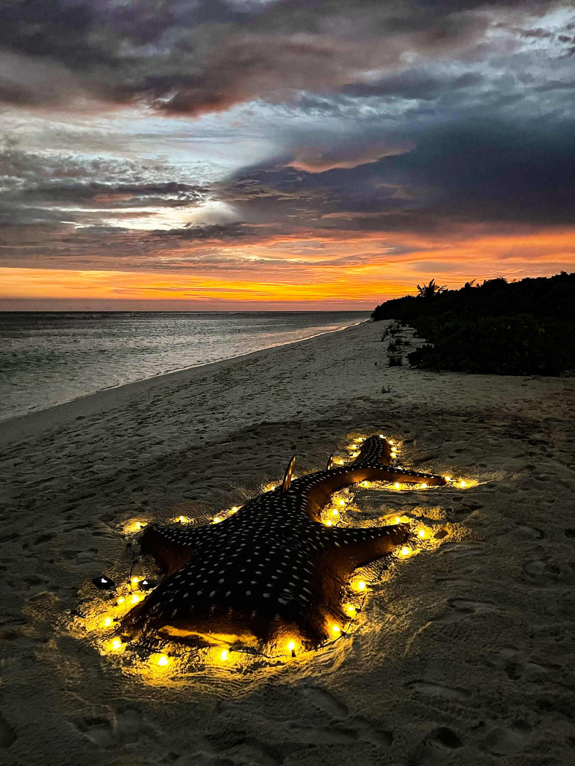 Ashoar for BBQ towards trip end.