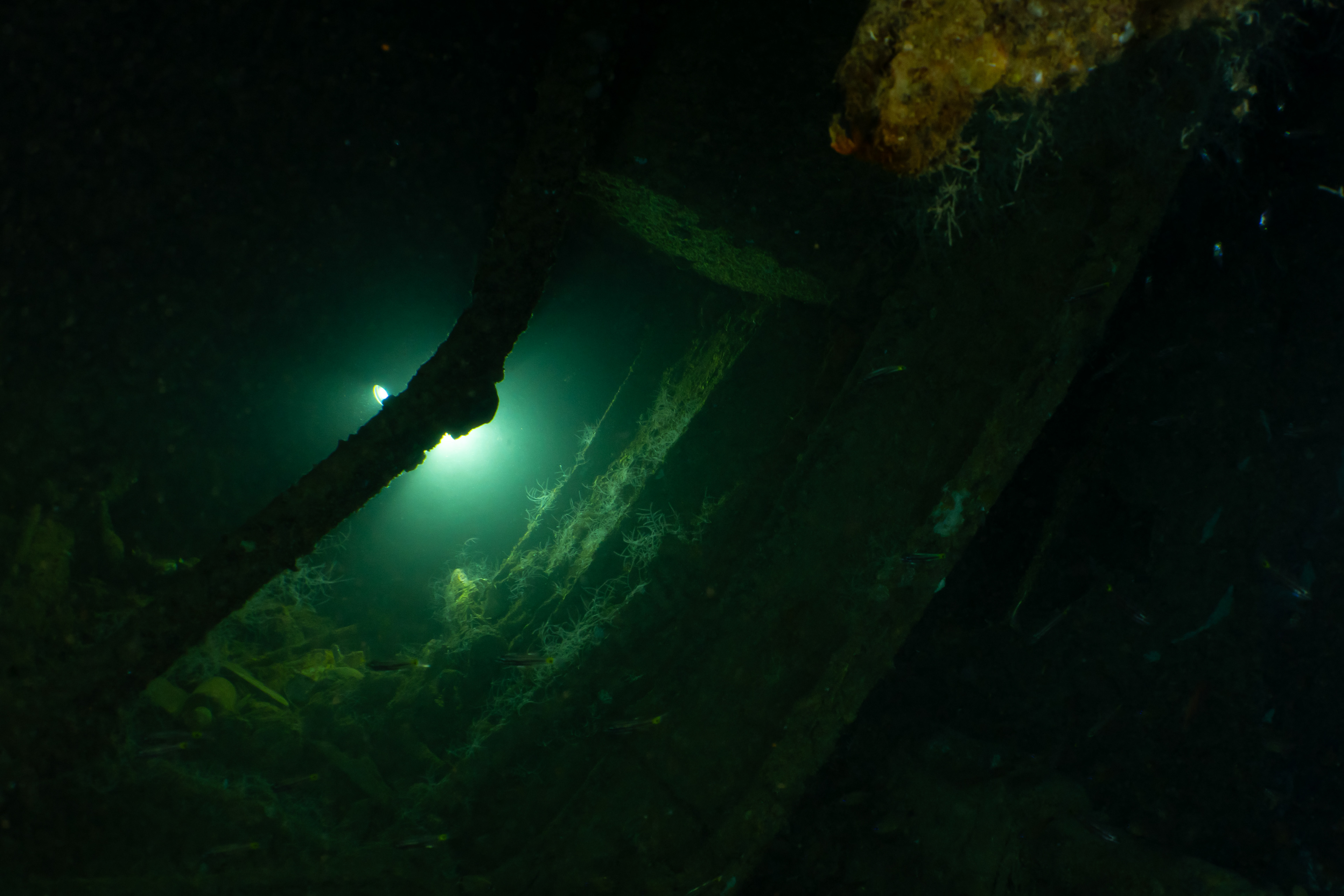 Dave Chapman emerging from the bow section. 