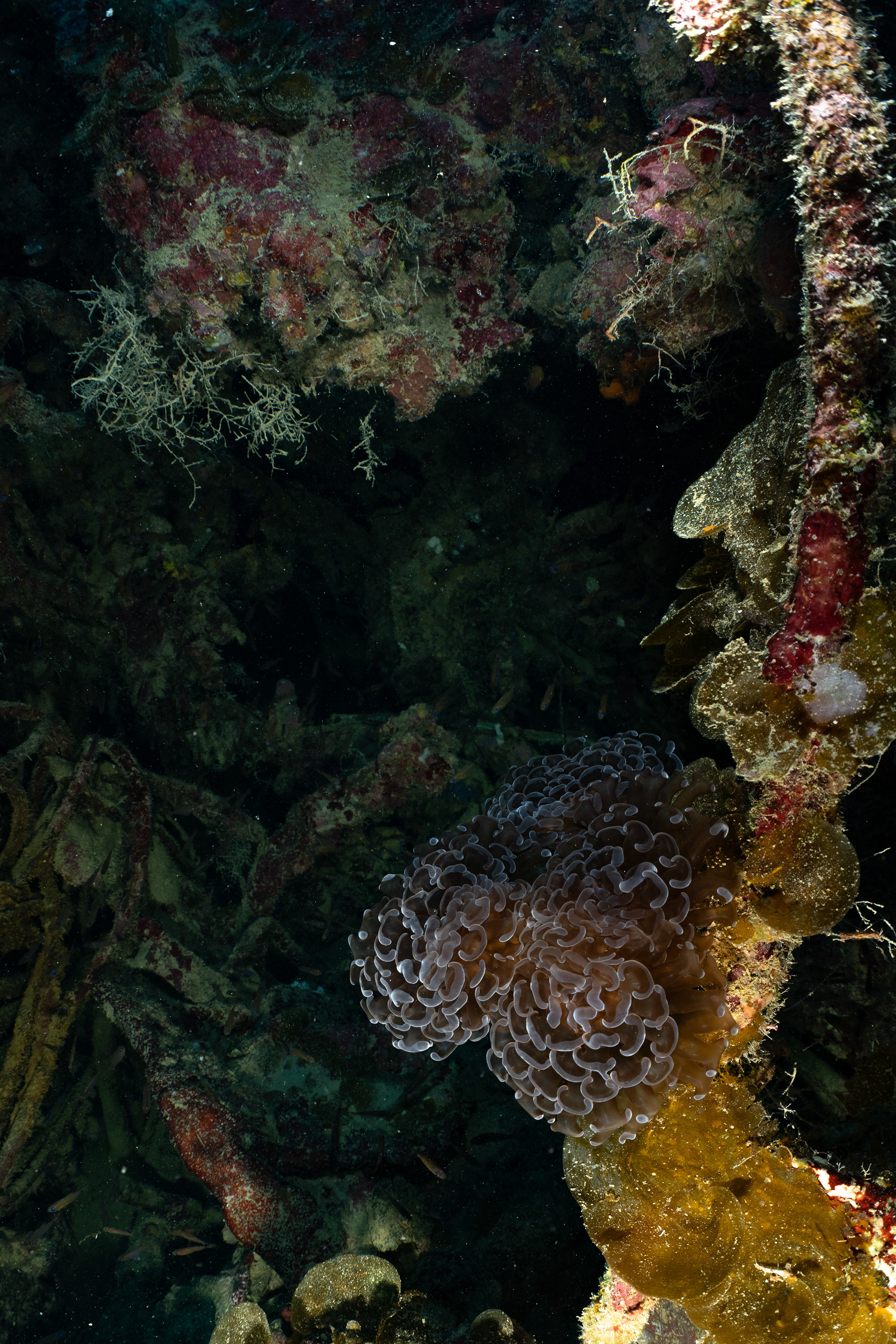 Looking inside towards bow at the break. 