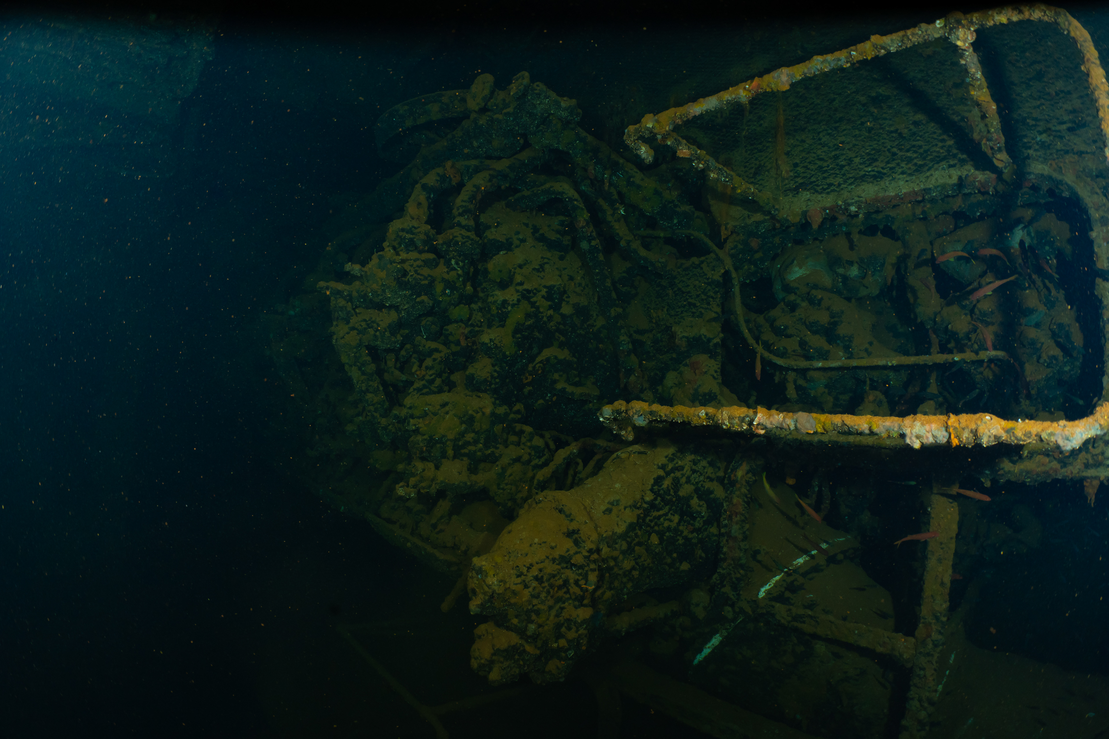 Port side engine