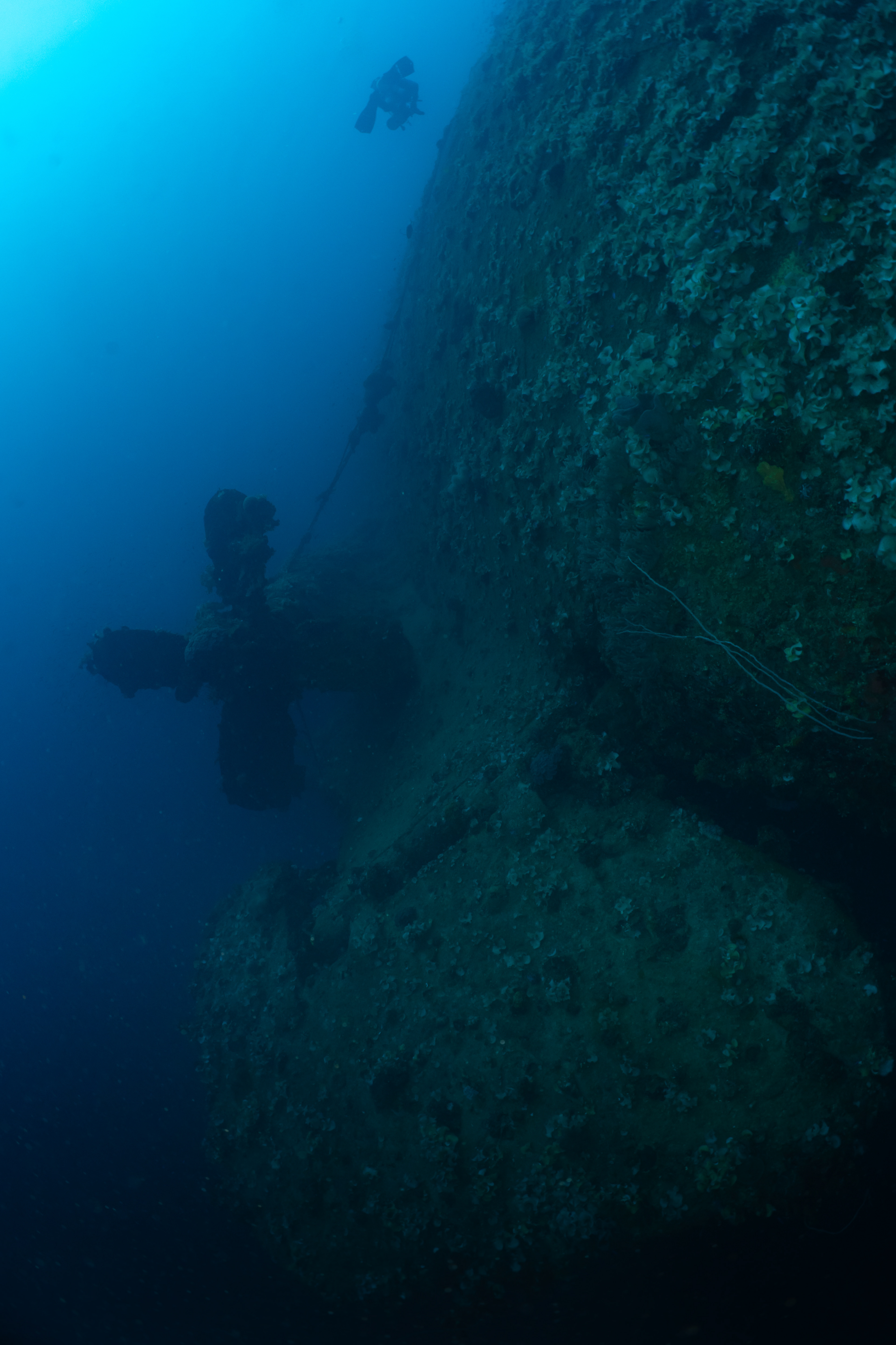 Port propellor. 