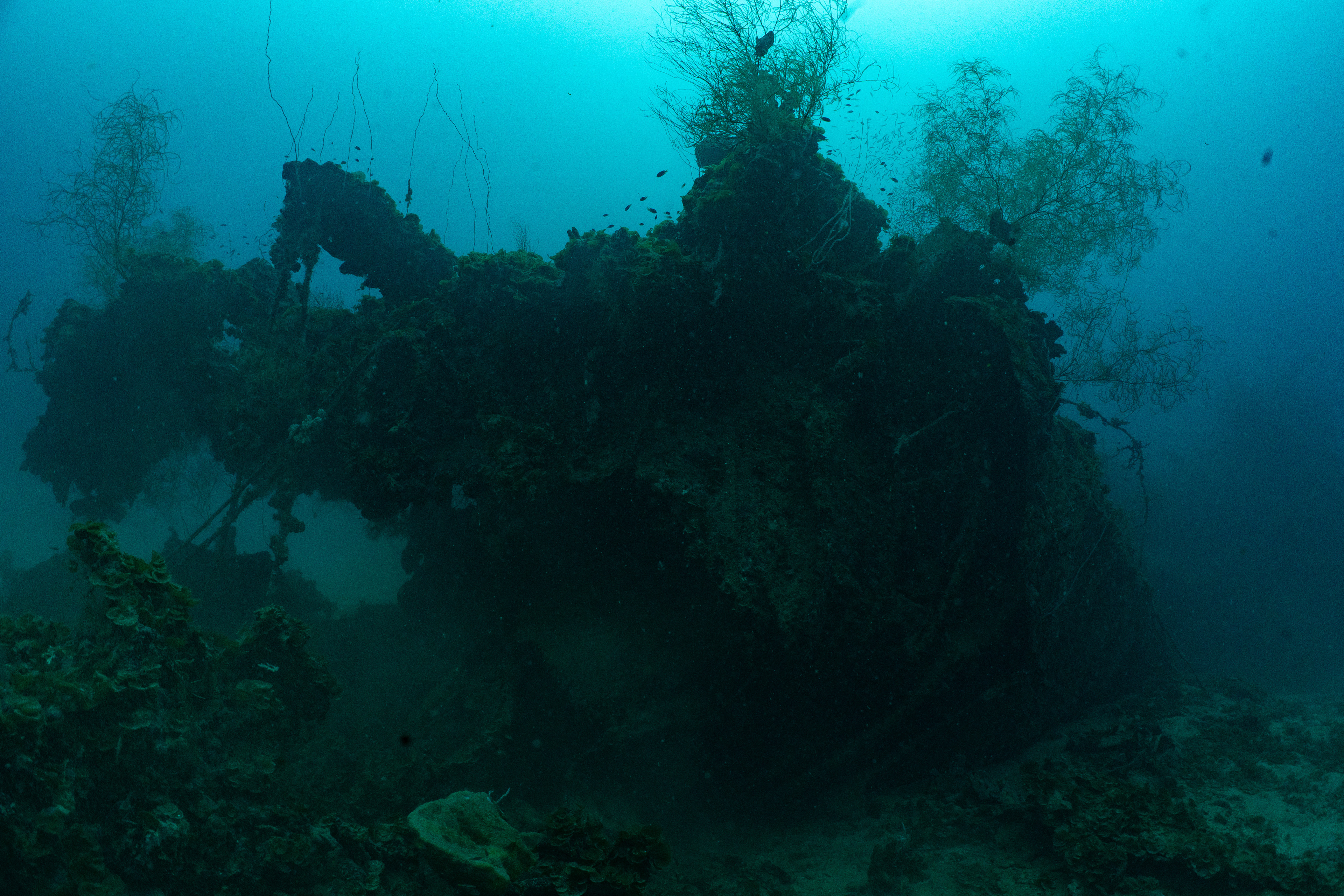 Looking forward at the hull break.