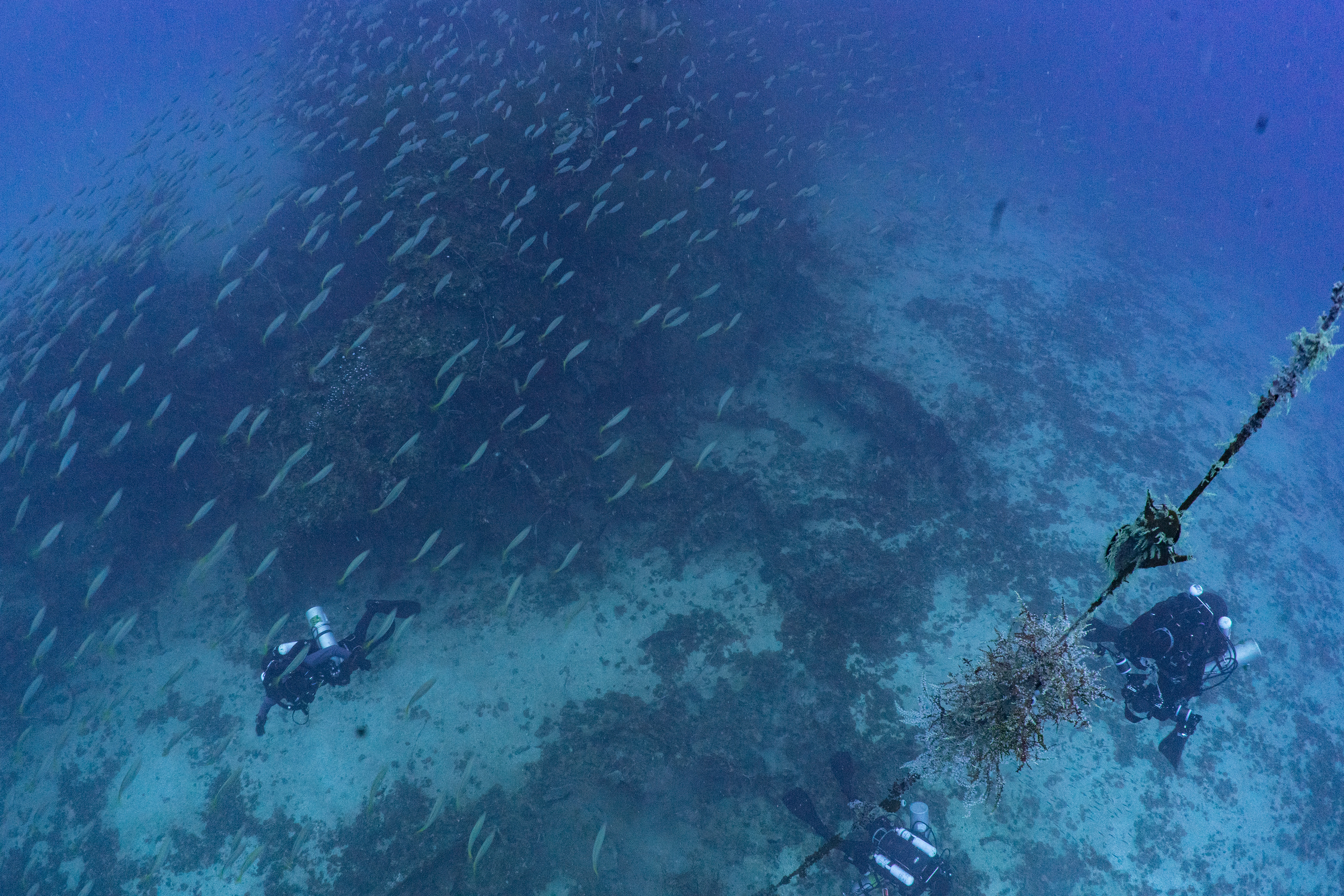 Descending to the wreck