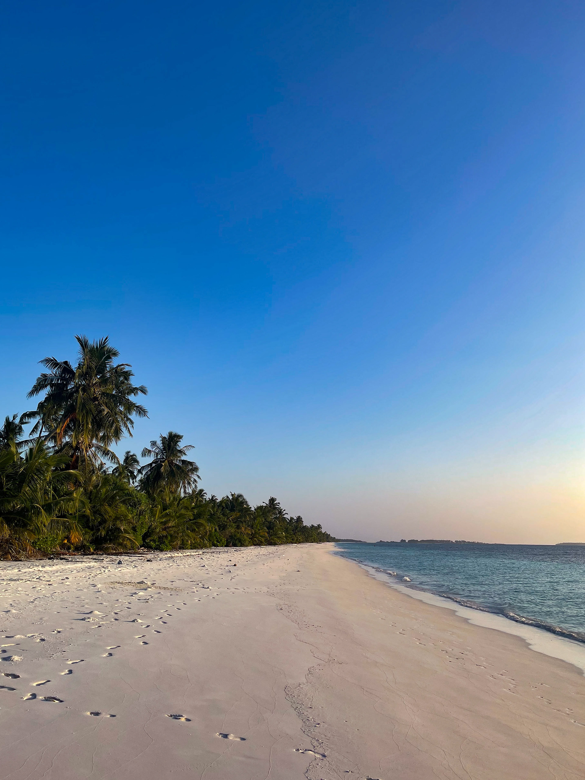 Ashore for happy hour.