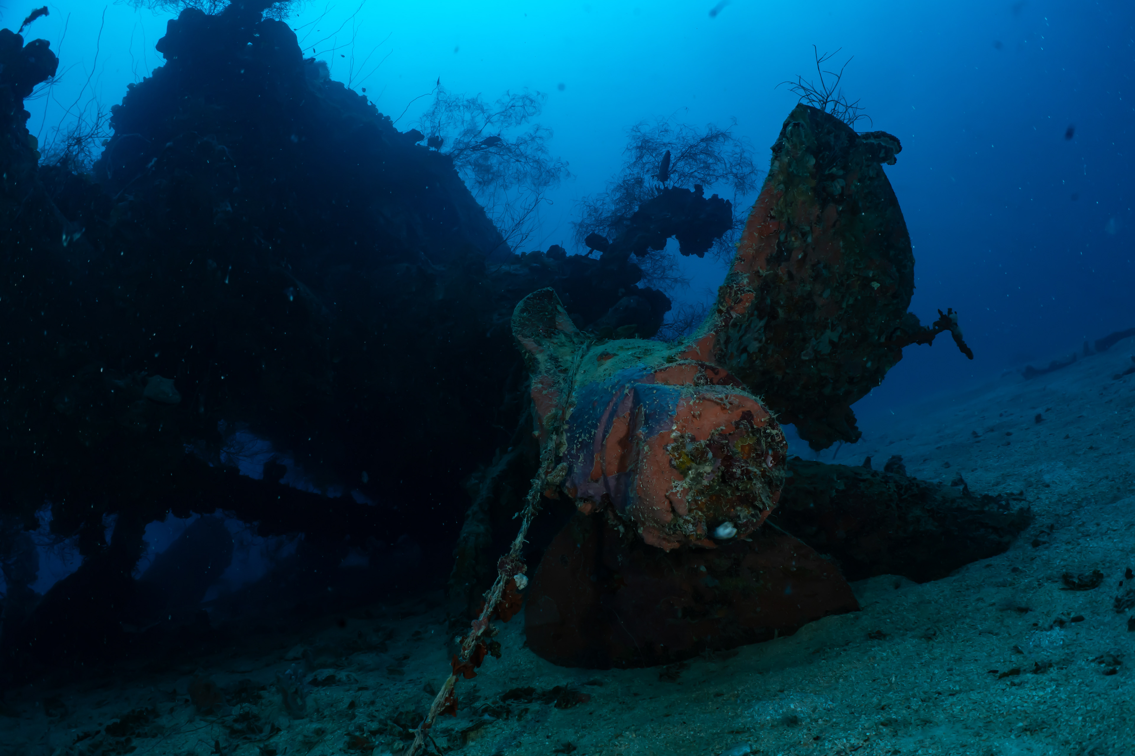 What's left of the stern. 