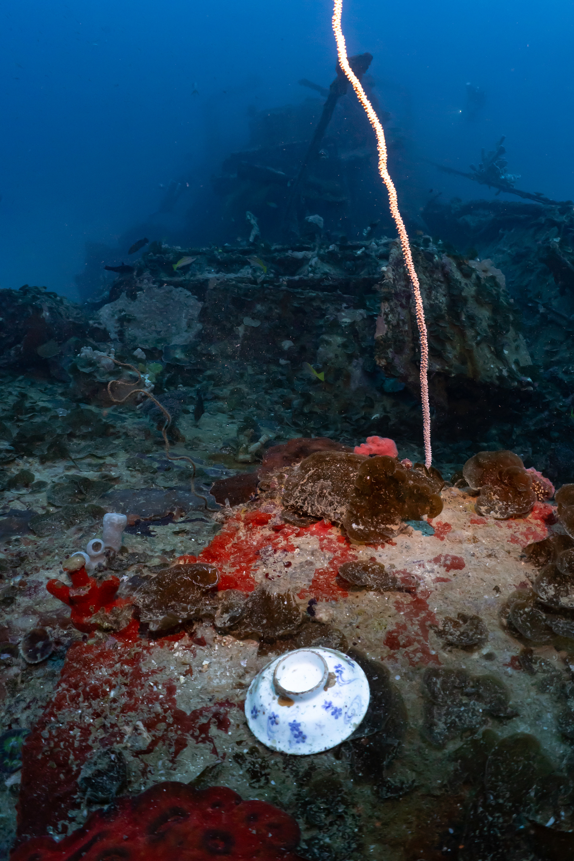 There's still artifacts in these wrecks.
