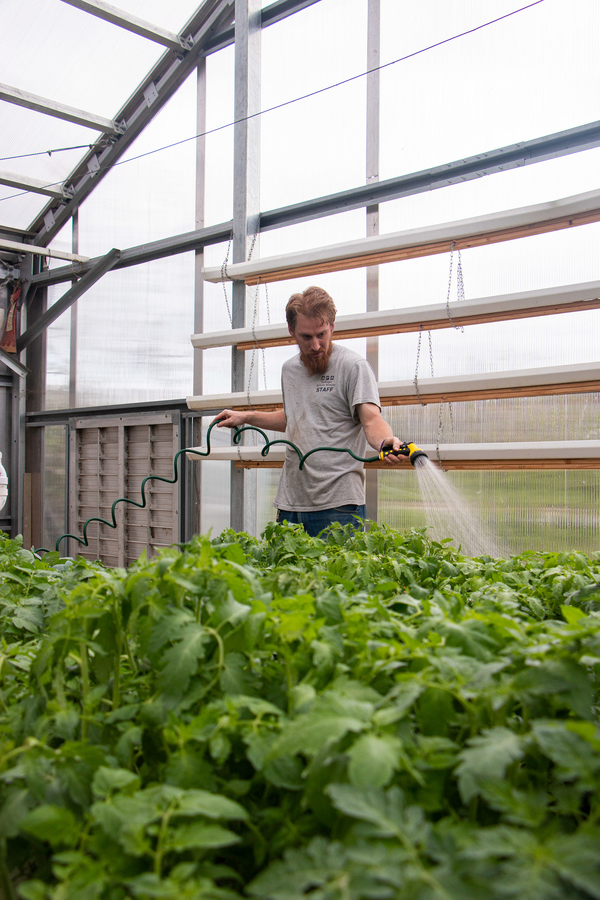 Rescue Mission Community Garden in Dubuque, IA on April 27, 2024. John Delventhal, the master gardener, waters the plants.