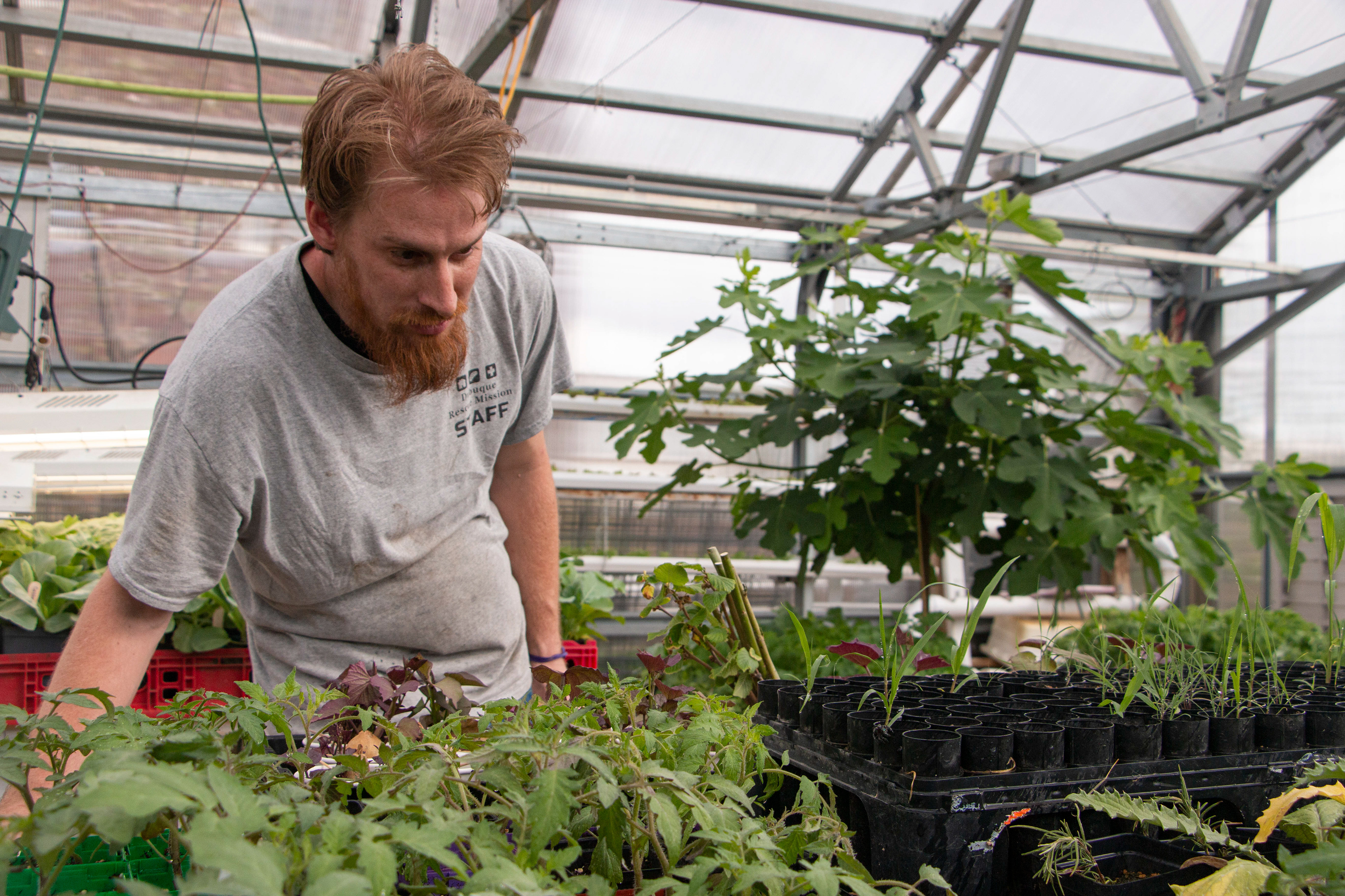 Rescue Mission Community Garden in Dubuque, IA on April 27, 2024. John Delventhal looks at the Bold Jumping Spider.