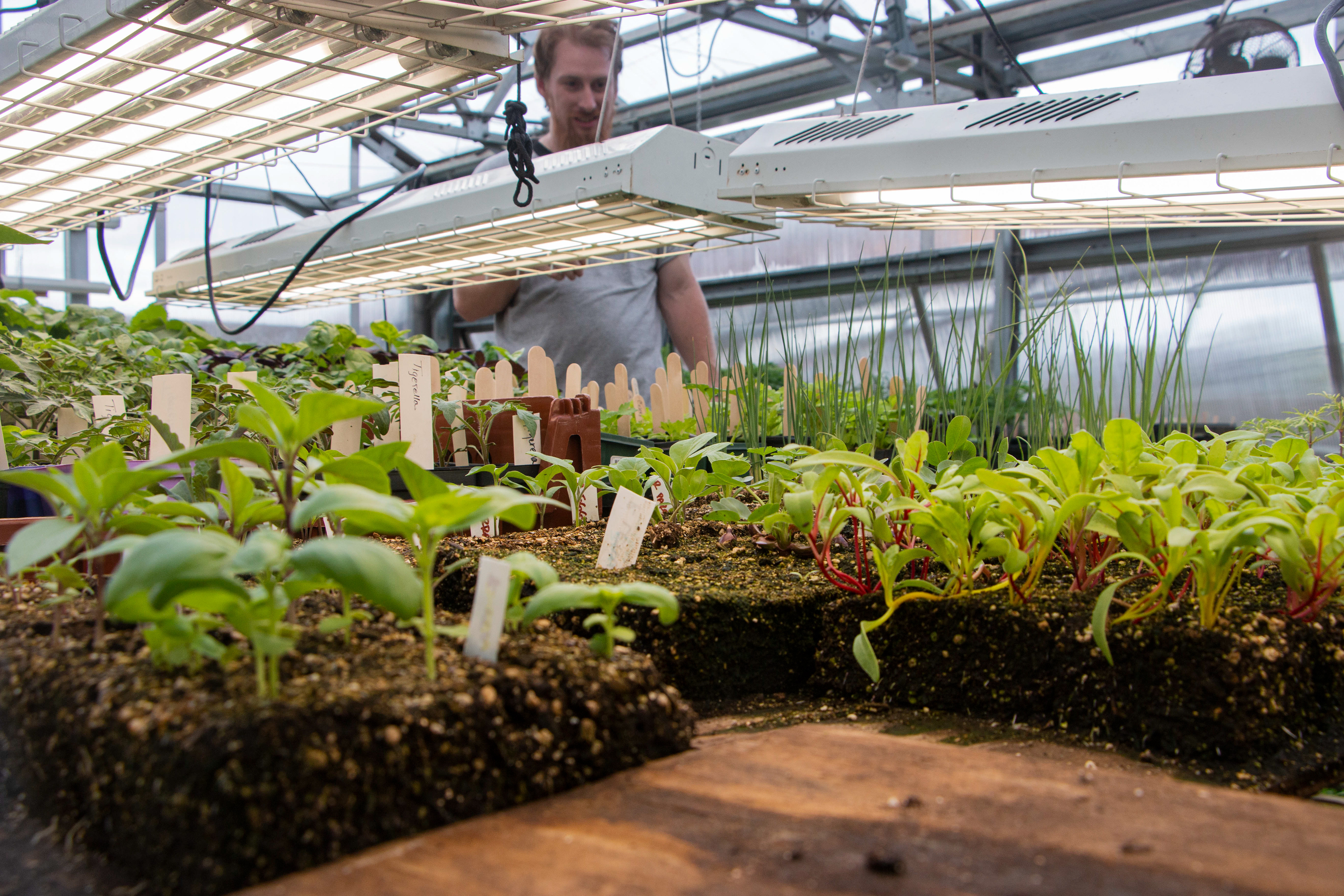 Rescue Mission Community Garden in Dubuque, IA on April 27, 20204. The garden grows all year round because of the greenhouse, John Delventhal, a master gardener takes care of the plants inside the greenhouse.