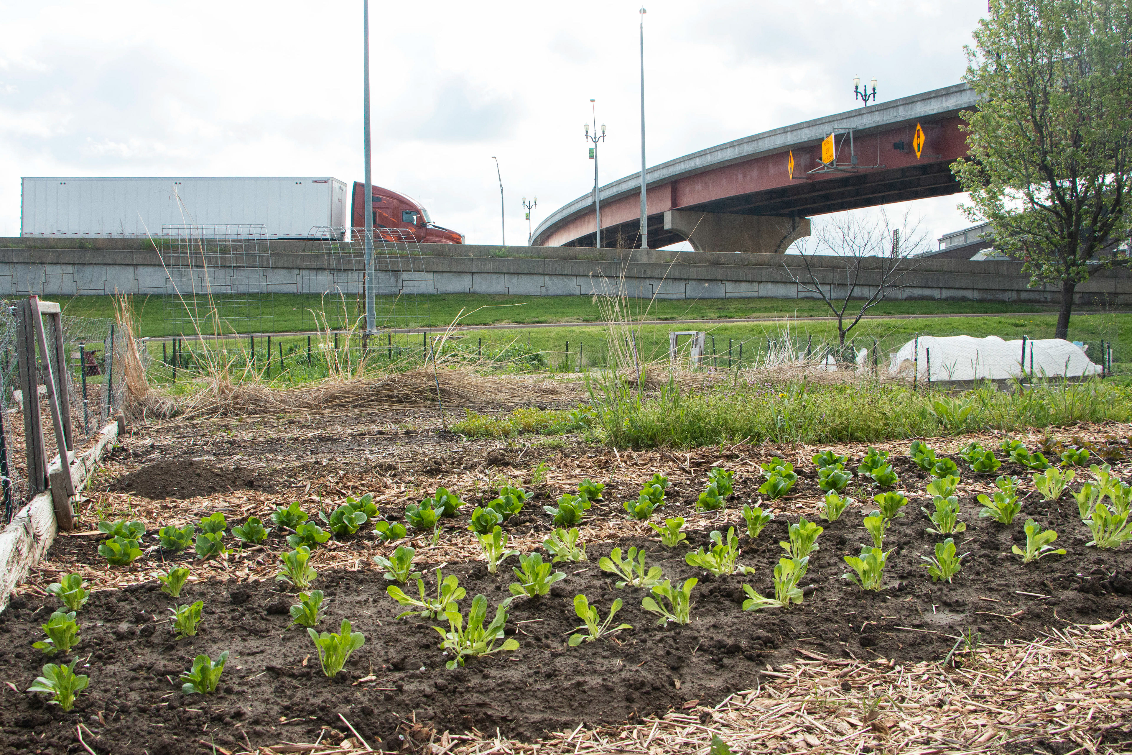 Rescue Mission Community Garden in Dubuque, IA on April 27, 2024. The garden grows food used in the rescue mission kitchen to cook free food for the poor and homeless.